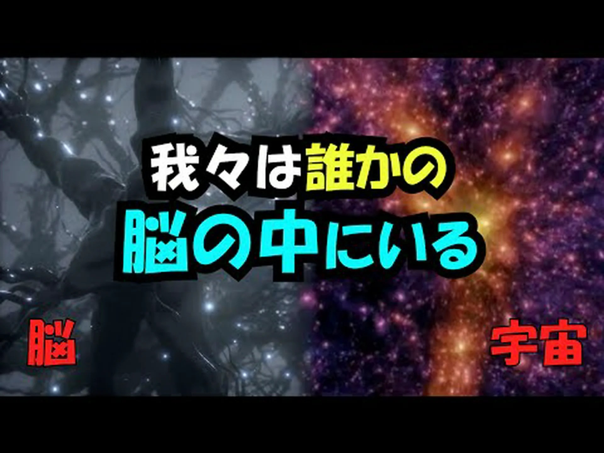 目の中の脳 目の中の脳