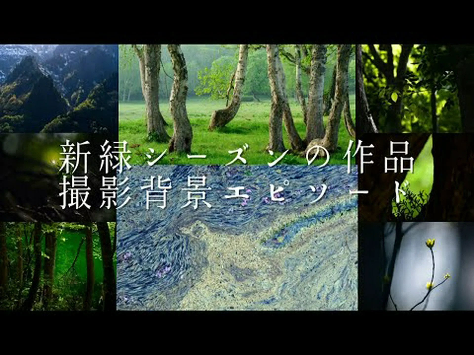 最高の自然写真 最高の自然写真