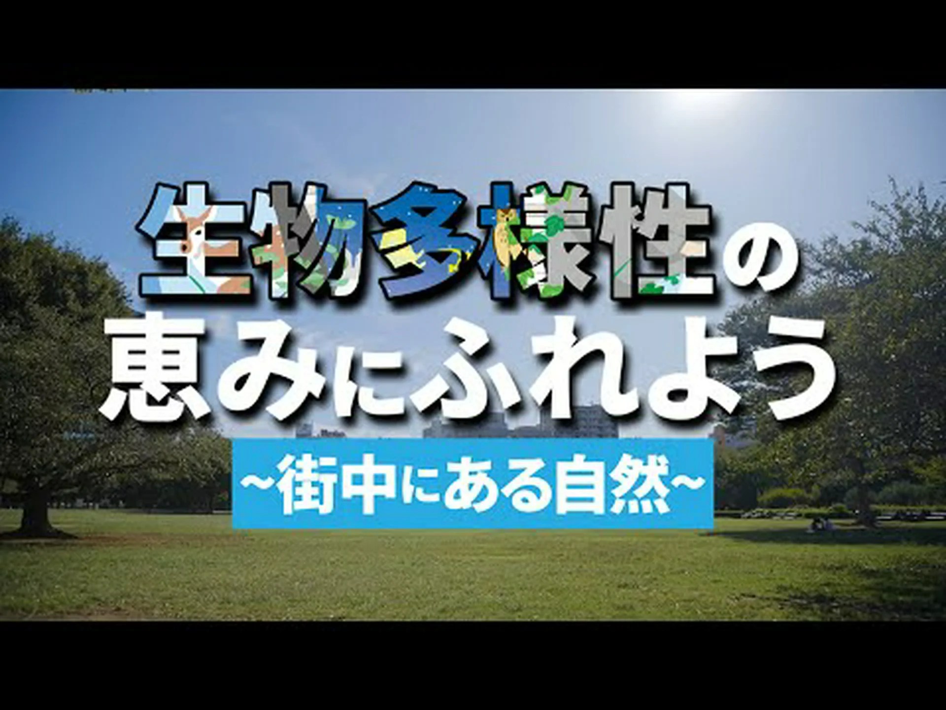 都市庭園の驚くべき生物多様性 都市庭園の驚くべき生物多様性