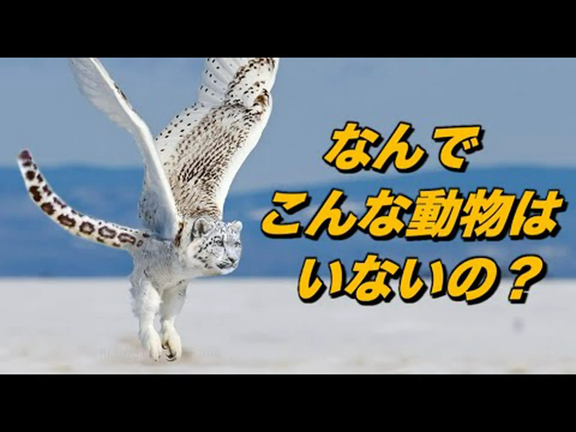 Fossil は被嚢動物の進化に関する新たな洞察を提供します Fossil は被嚢動物の進化に関する新たな洞察を提供します