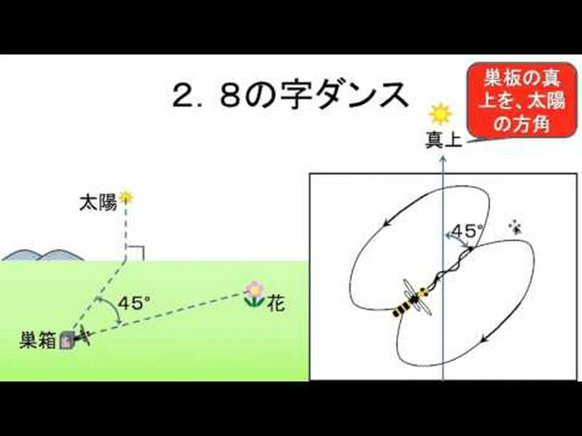 ミツバチはどのようにしてダンスを学ぶのか ミツバチはどのようにしてダンスを学ぶのか