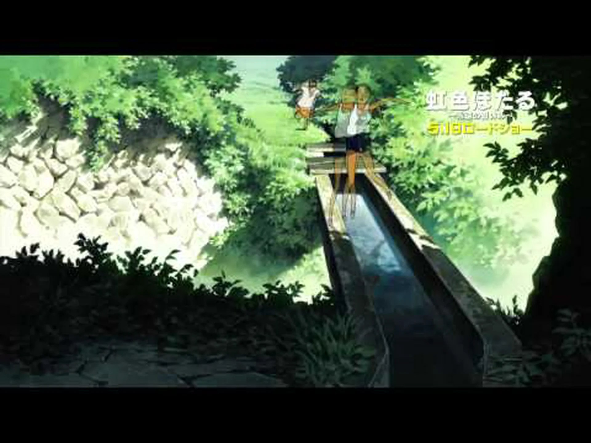 ホタルは色が見える ホタルは色が見える