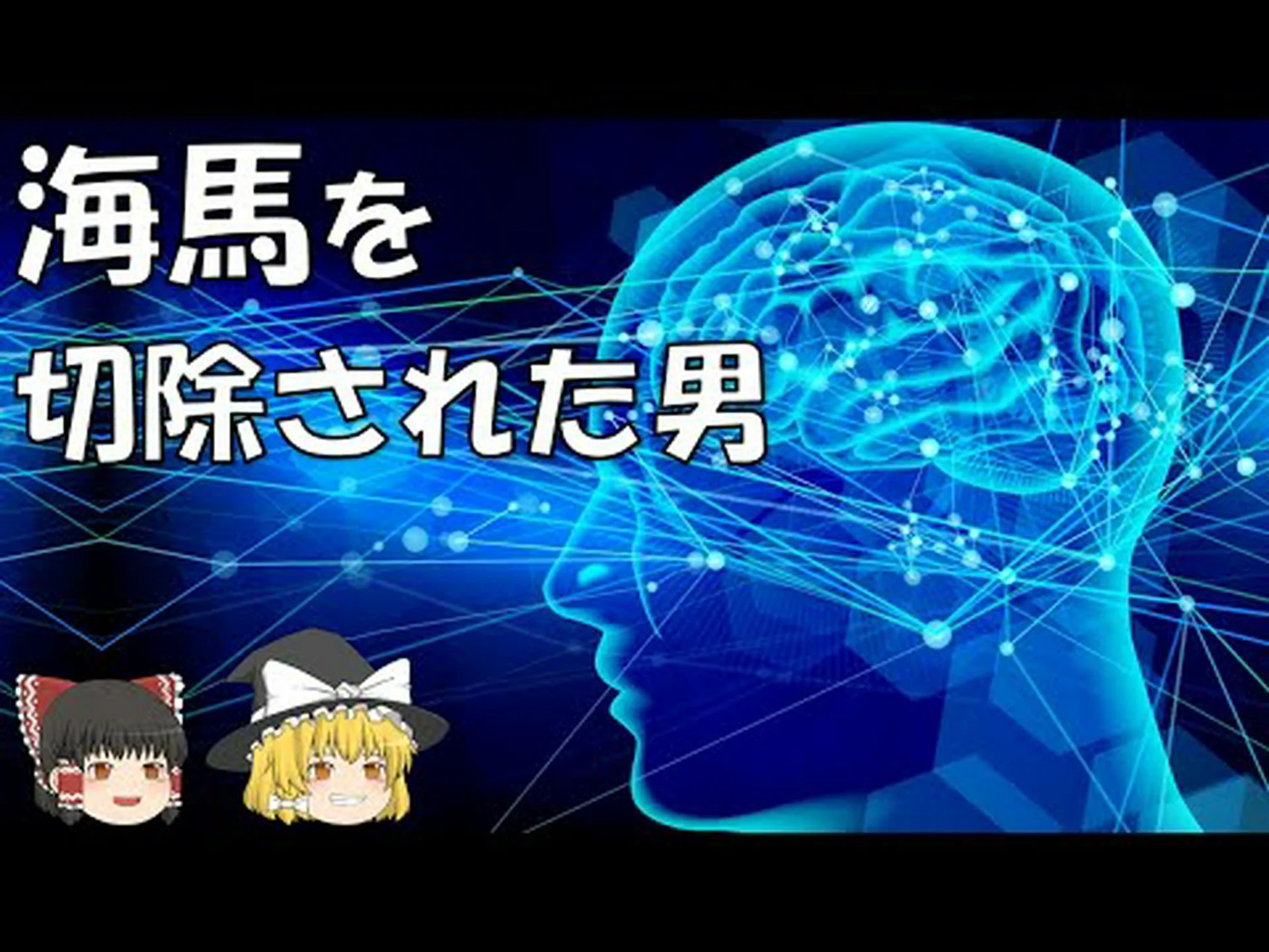 イカは誤った記憶を形成する可能性がある イカは誤った記憶を形成する可能性がある