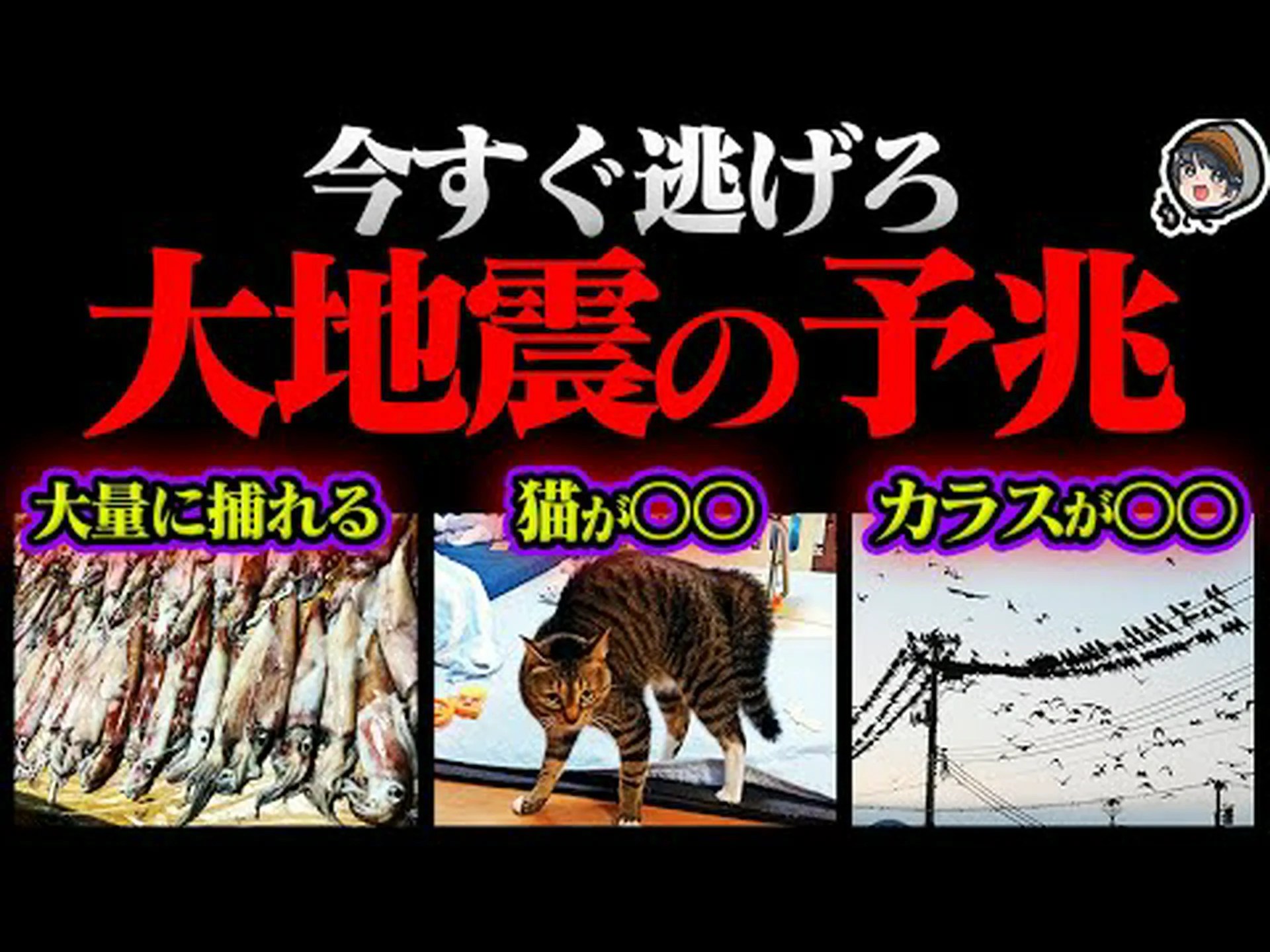 動物は差し迫った地震を感知しますか? 動物は差し迫った地震を感知しますか?