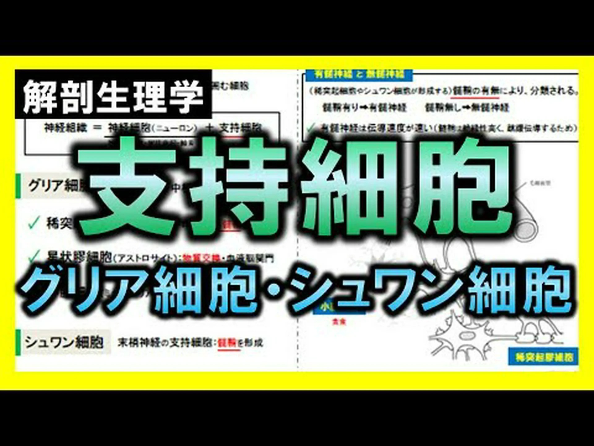 希ガスは脳卒中後の神経細胞を保護すると言われています 希ガスは脳卒中後の神経細胞を保護すると言われています