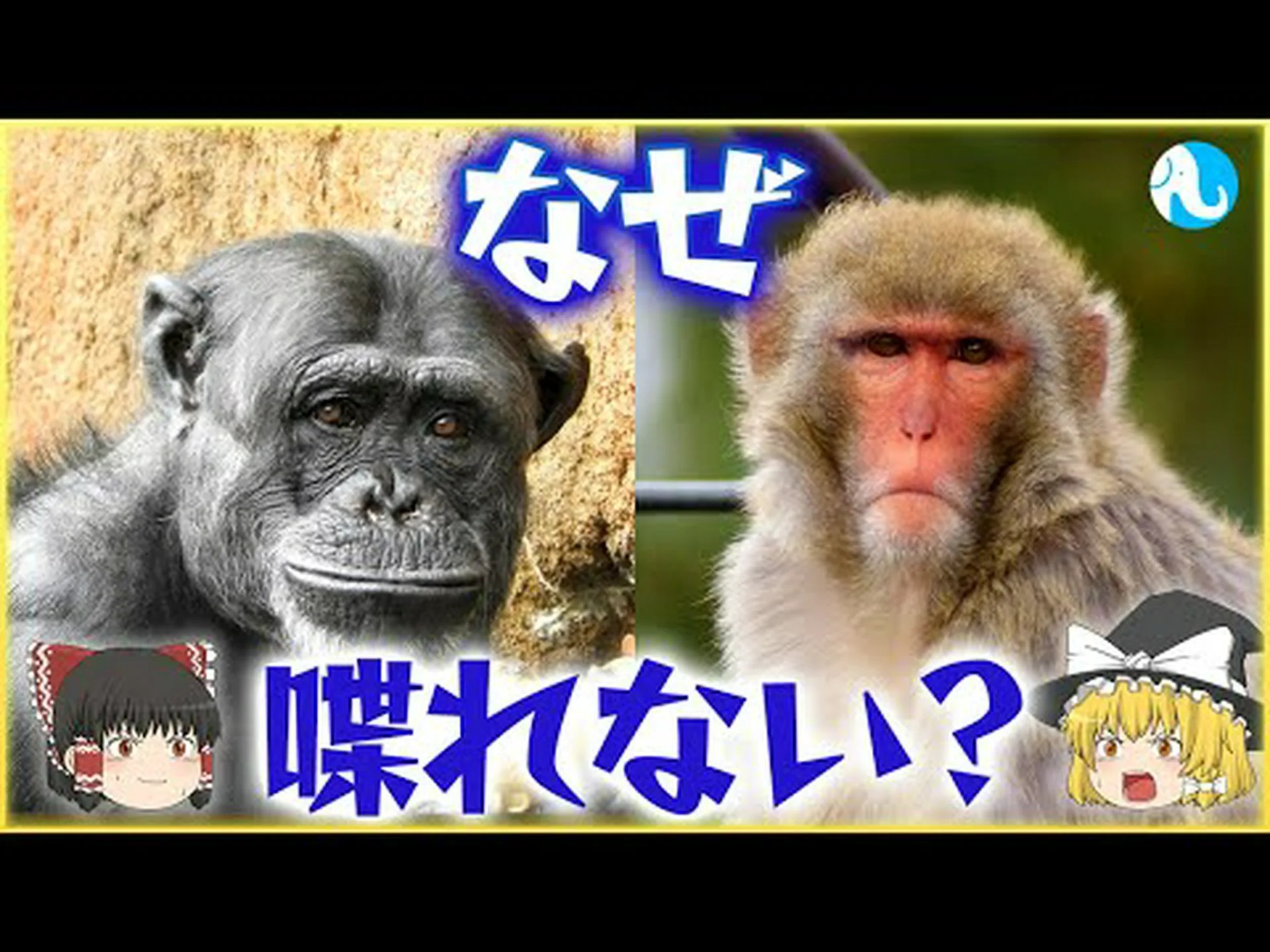 なぜ人間は話せるのにチンパンジーは話せないのか なぜ人間は話せるのにチンパンジーは話せないのか