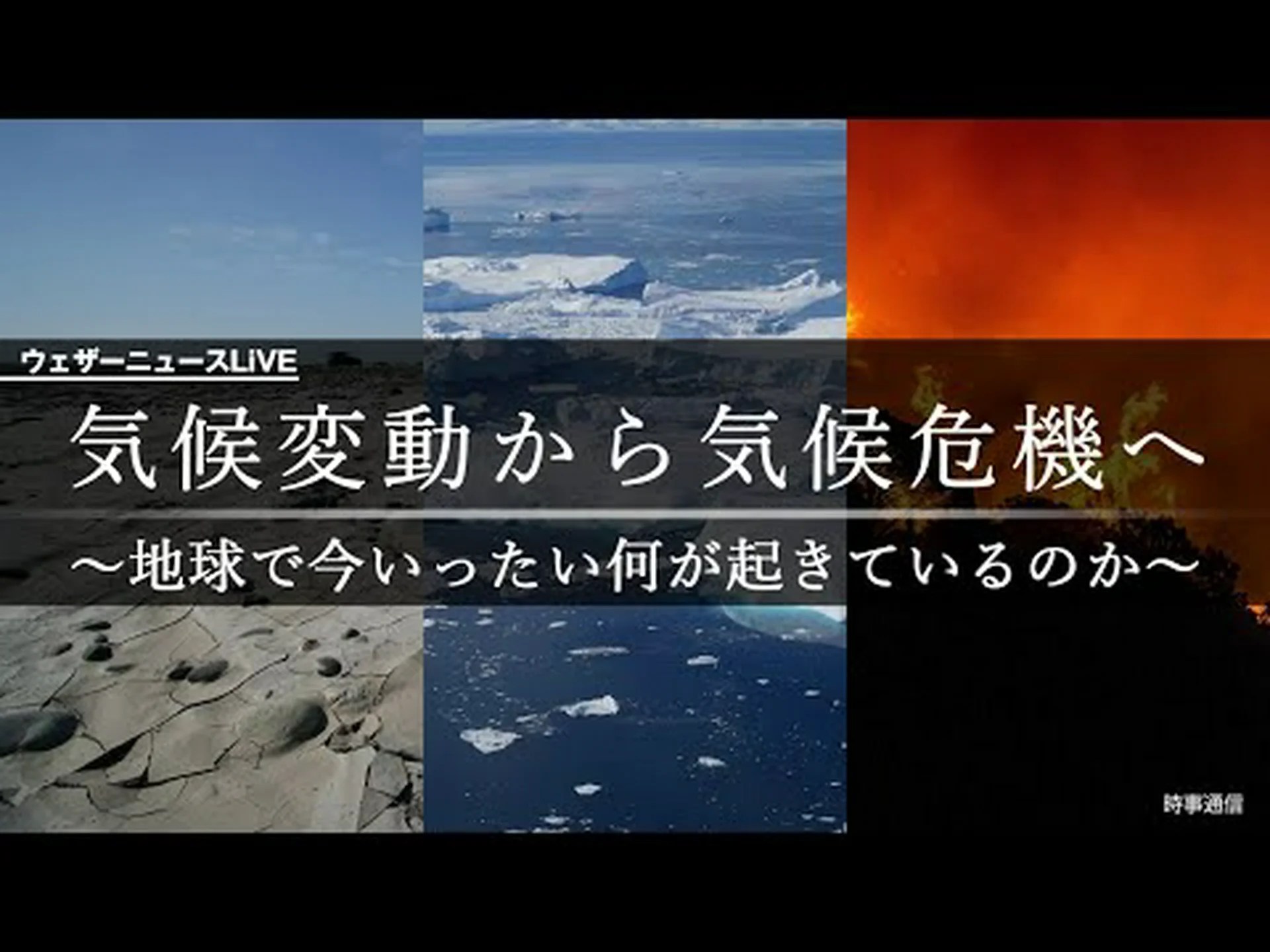 気候変動は鳥類の世界をどのように変えているのか 気候変動は鳥類の世界をどのように変えているのか