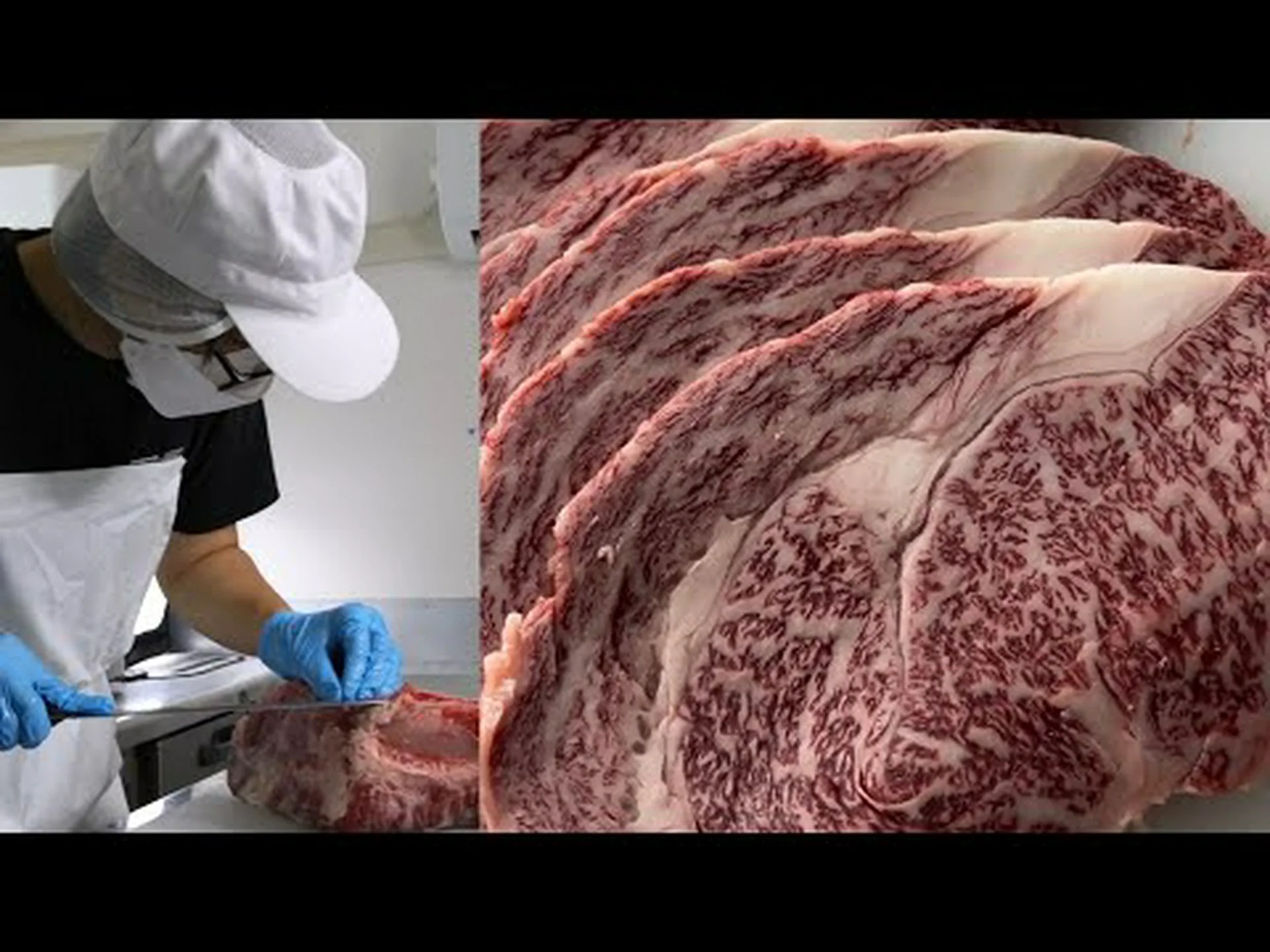 伝染性の肥育食品 伝染性の肥育食品