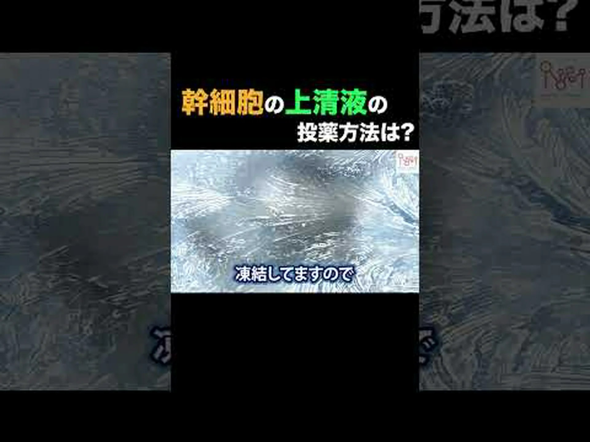 犯人: 腐った幹細胞 犯人: 腐った幹細胞