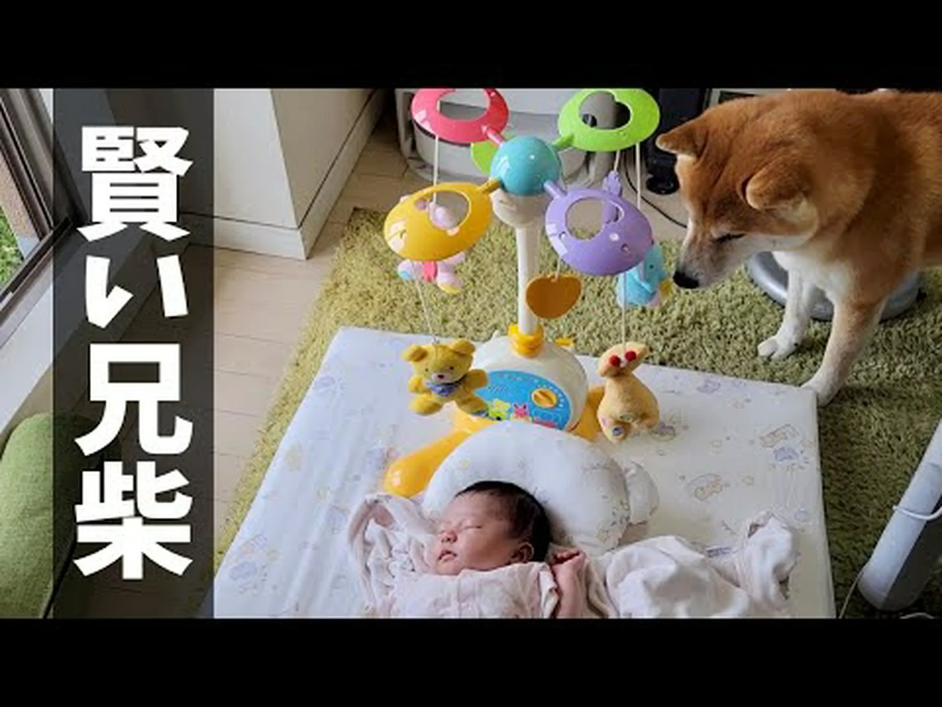 赤ちゃんは不可能なことを認識します 赤ちゃんは不可能なことを認識します