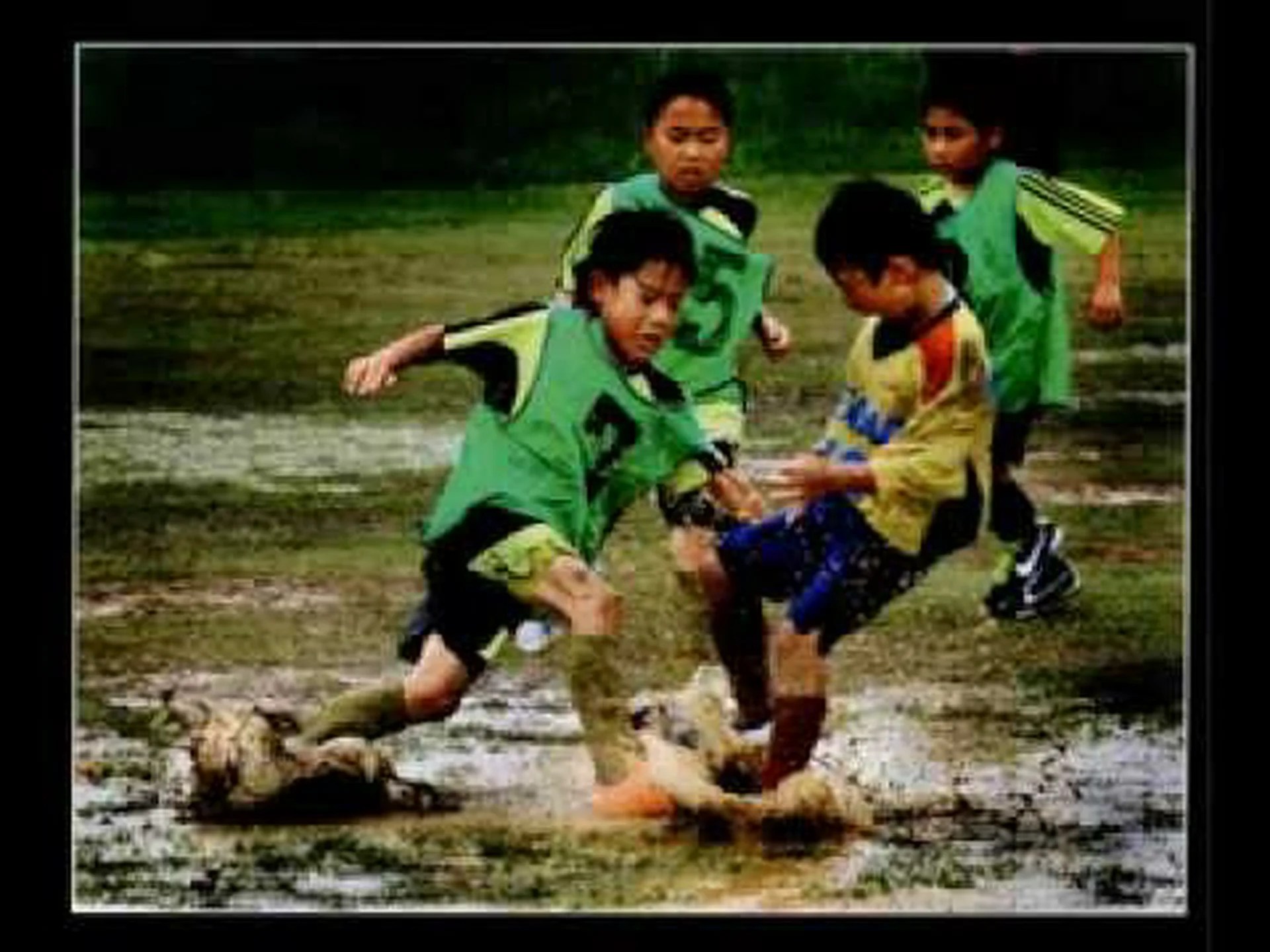 EuroNatur 写真コンテスト 2013 EuroNatur 写真コンテスト 2013