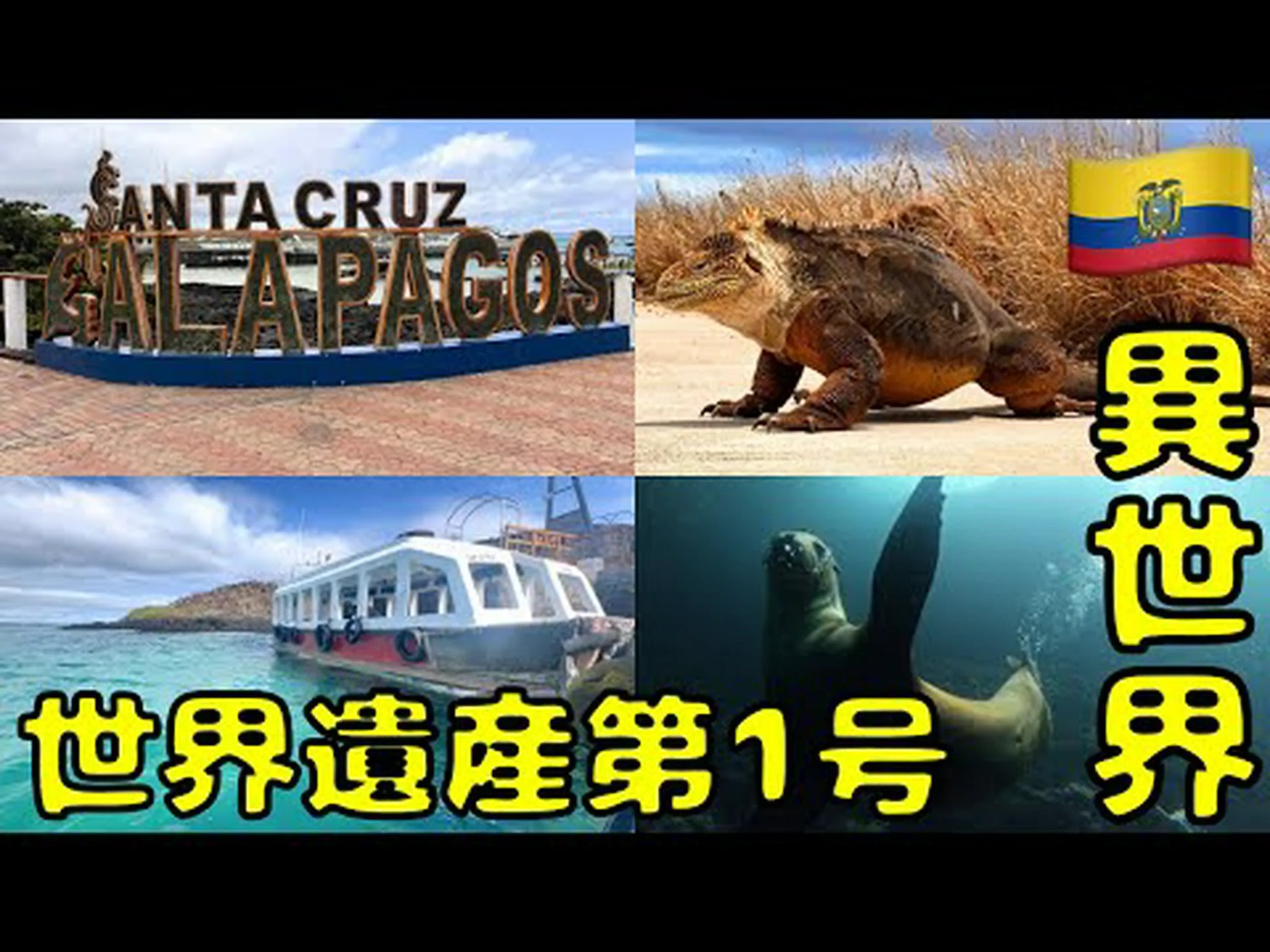 バイエルンからガラパゴスへ バイエルンからガラパゴスへ