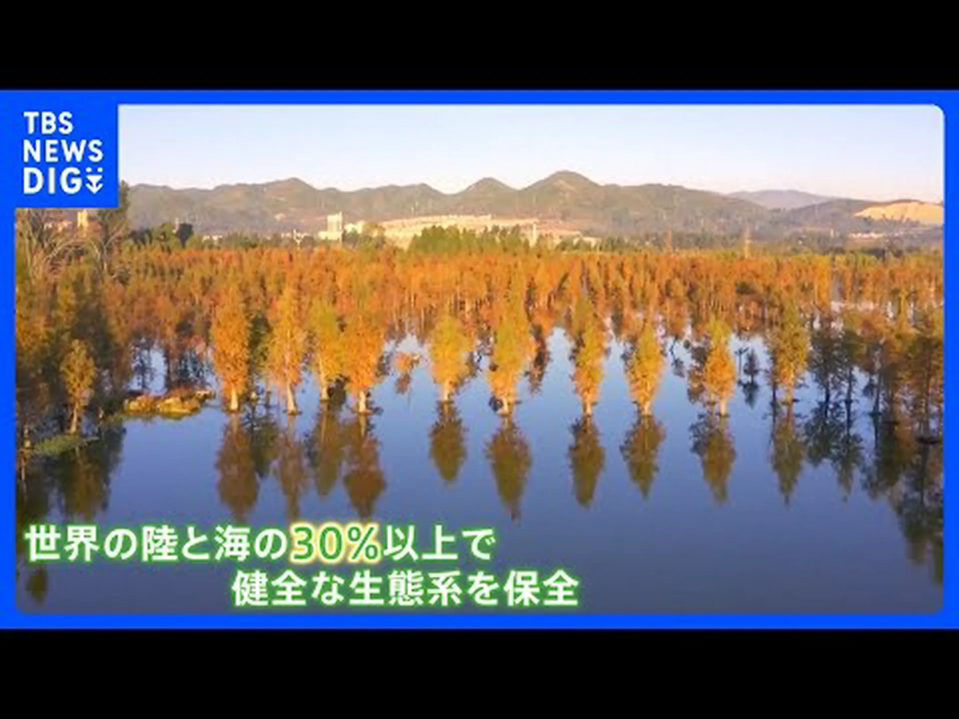 有料の生物多様性 有料の生物多様性