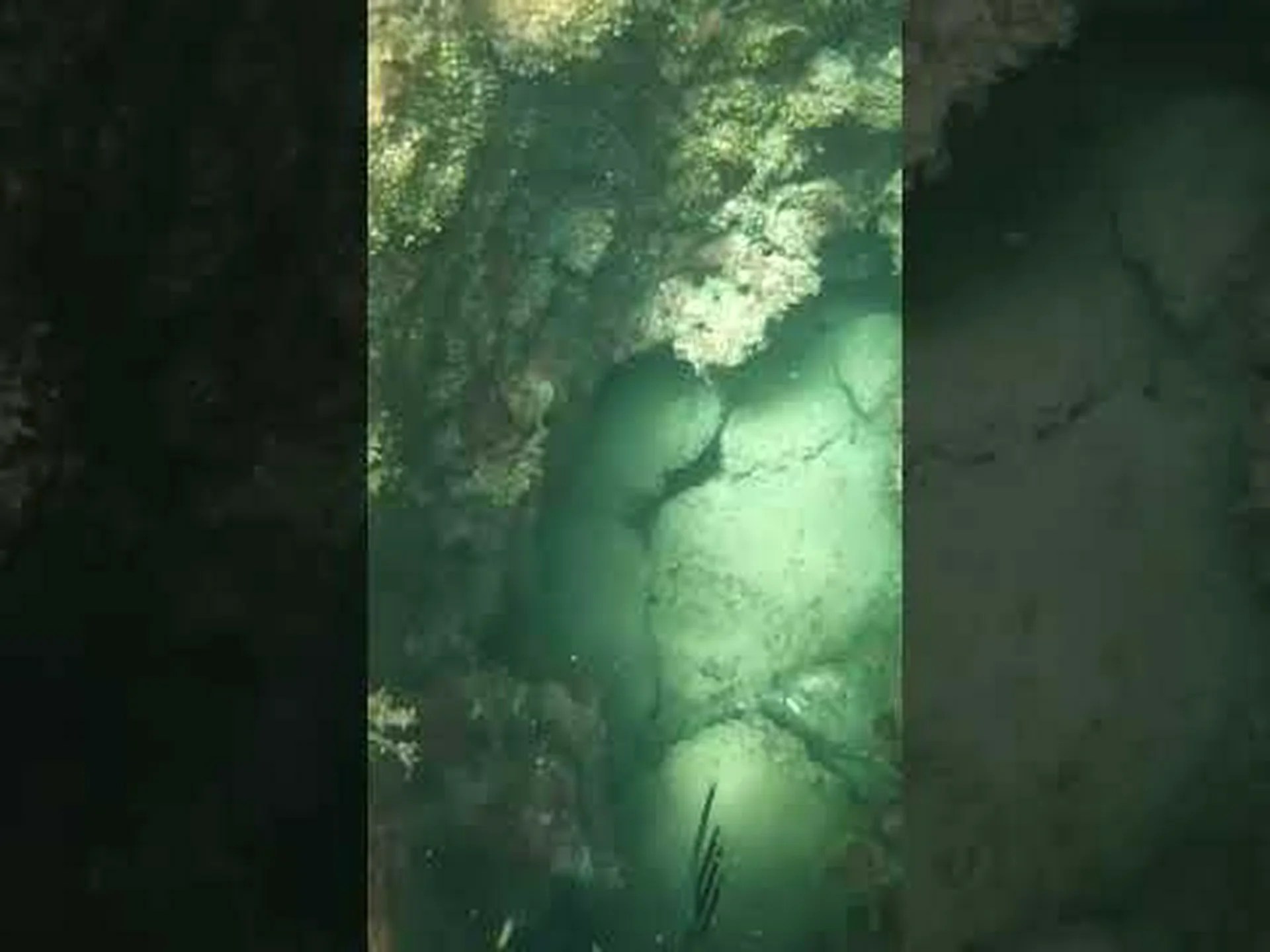 バルト海: 砂浜の埋め立てが生態系を破壊する バルト海: 砂浜の埋め立てが生態系を破壊する