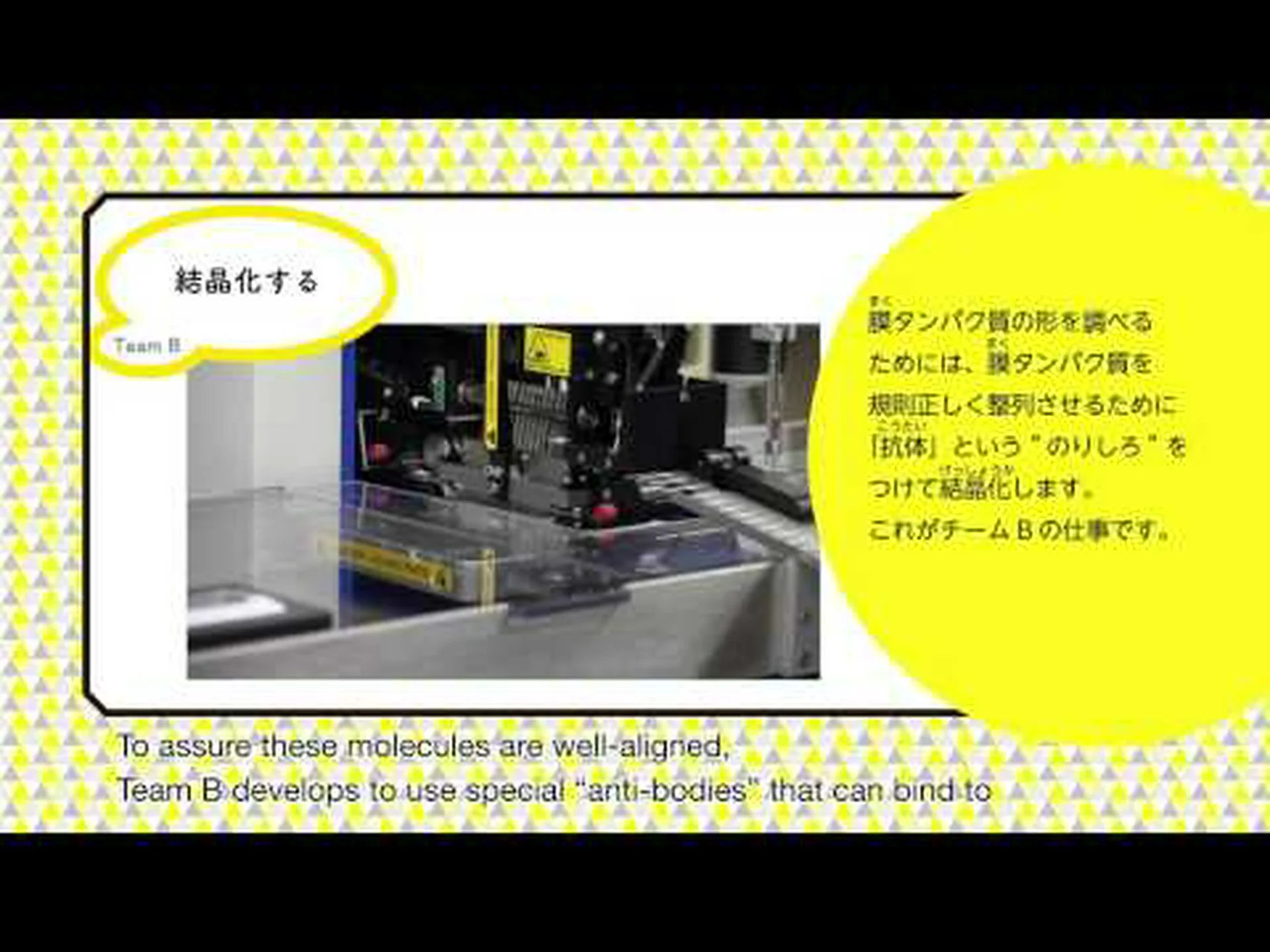 イスラエルの研究者: タンパク質は小さな磁石のように機能しますか? イスラエルの研究者: タンパク質は小さな磁石のように機能しますか?