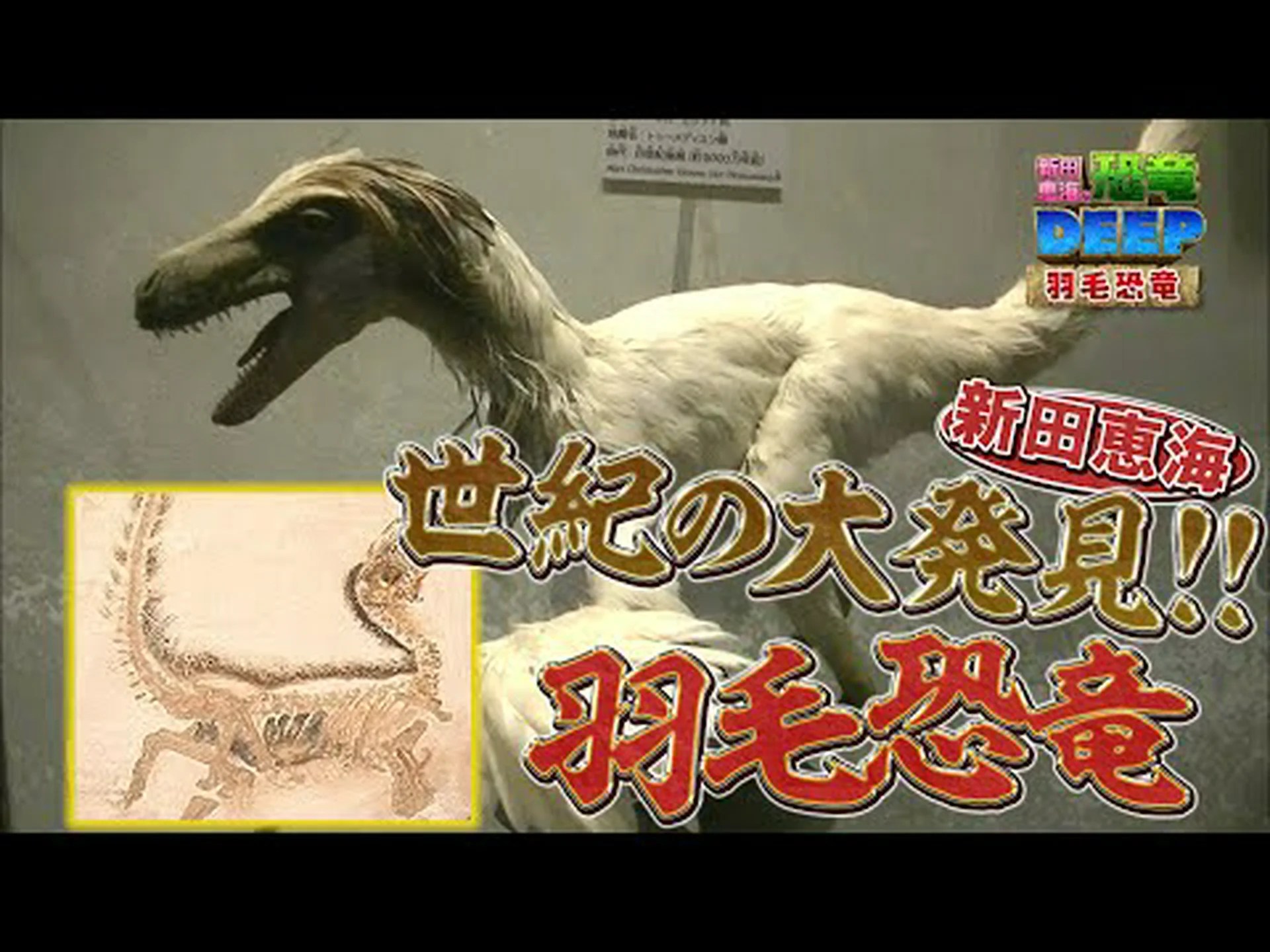 羽毛のある恐竜は木から木へと航海しました 羽毛のある恐竜は木から木へと航海しました