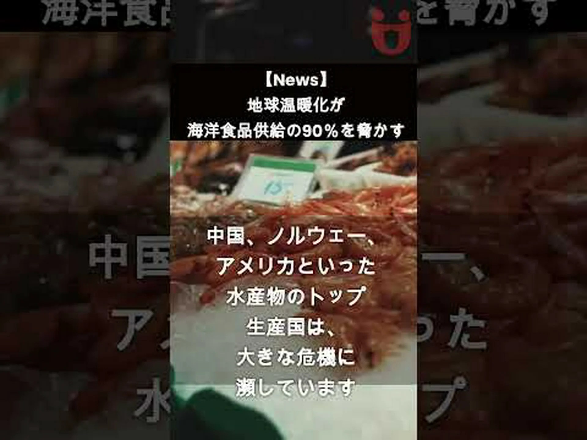 気候変動は極地の食物網の基盤を脅かす 気候変動は極地の食物網の基盤を脅かす
