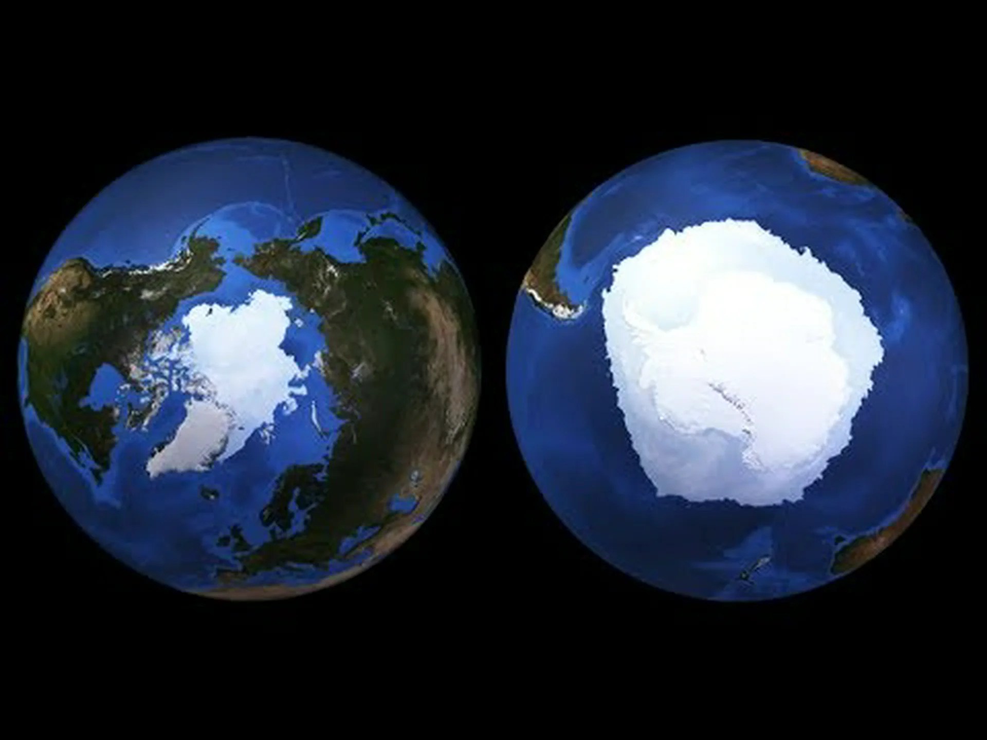 かつて北極には高機能森林が生えていたのでしょうか? かつて北極には高機能森林が生えていたのでしょうか?