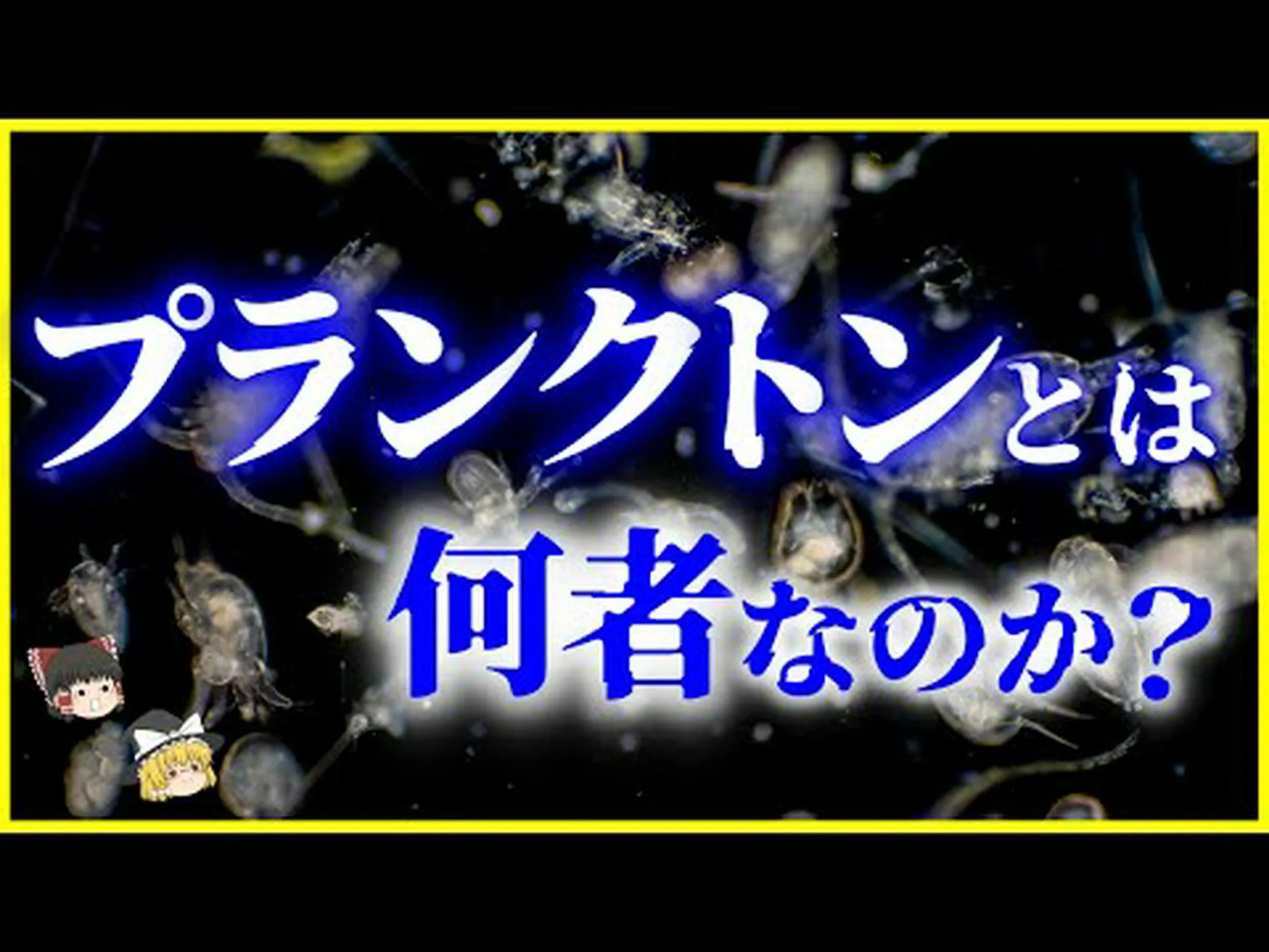 植物の栄養素が不足すると昆虫や動物プランクトンの成長が遅くなる 植物の栄養素が不足すると昆虫や動物プランクトンの成長が遅くなる