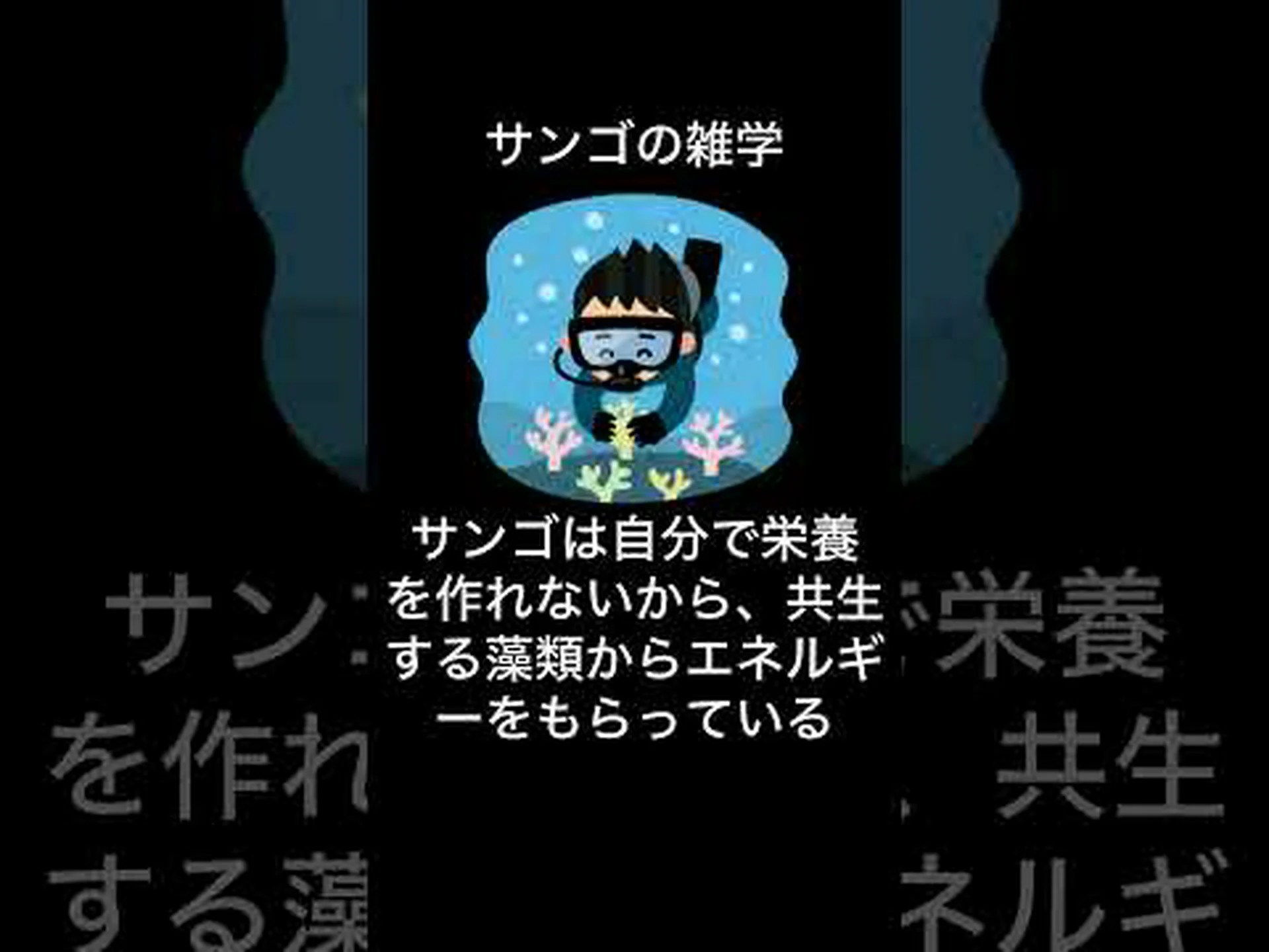 サンゴ礁を育てるには?絶滅の危機に瀕している「海の熱帯雨林」をこの方法で救うことができるのでしょうか? サンゴ礁を育てるには?絶滅の危機に瀕している「海の熱帯雨林」をこの方法で救うことができるのでしょうか?