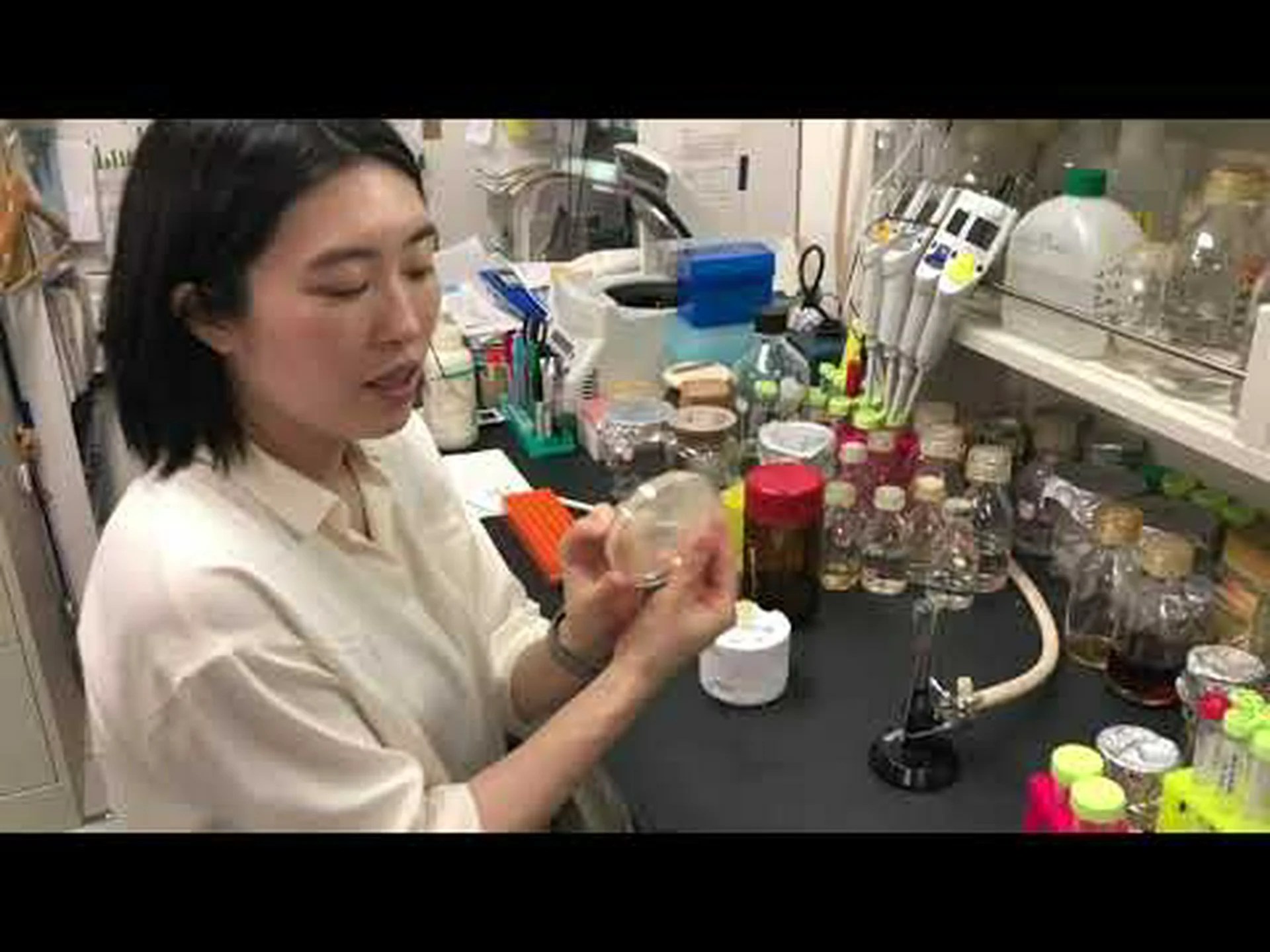 ハイデルベルク細胞研究者にクルップ後援賞が授与される ハイデルベルク細胞研究者にクルップ後援賞が授与される