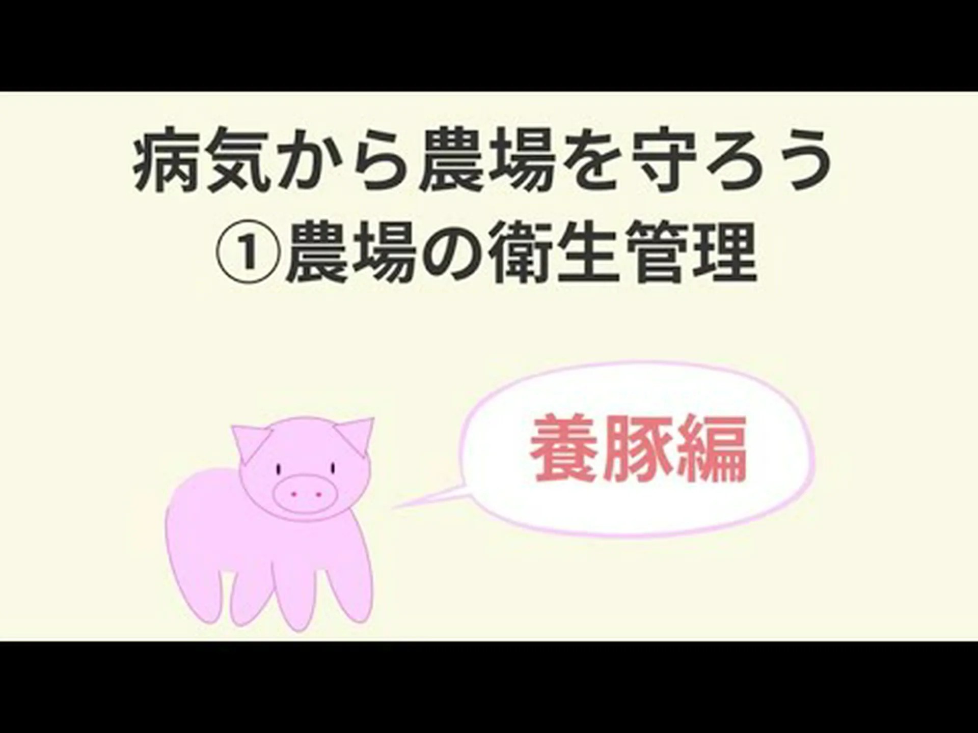 研究: 養豚により抗生物質に対する不感症が広がる 研究: 養豚により抗生物質に対する不感症が広がる