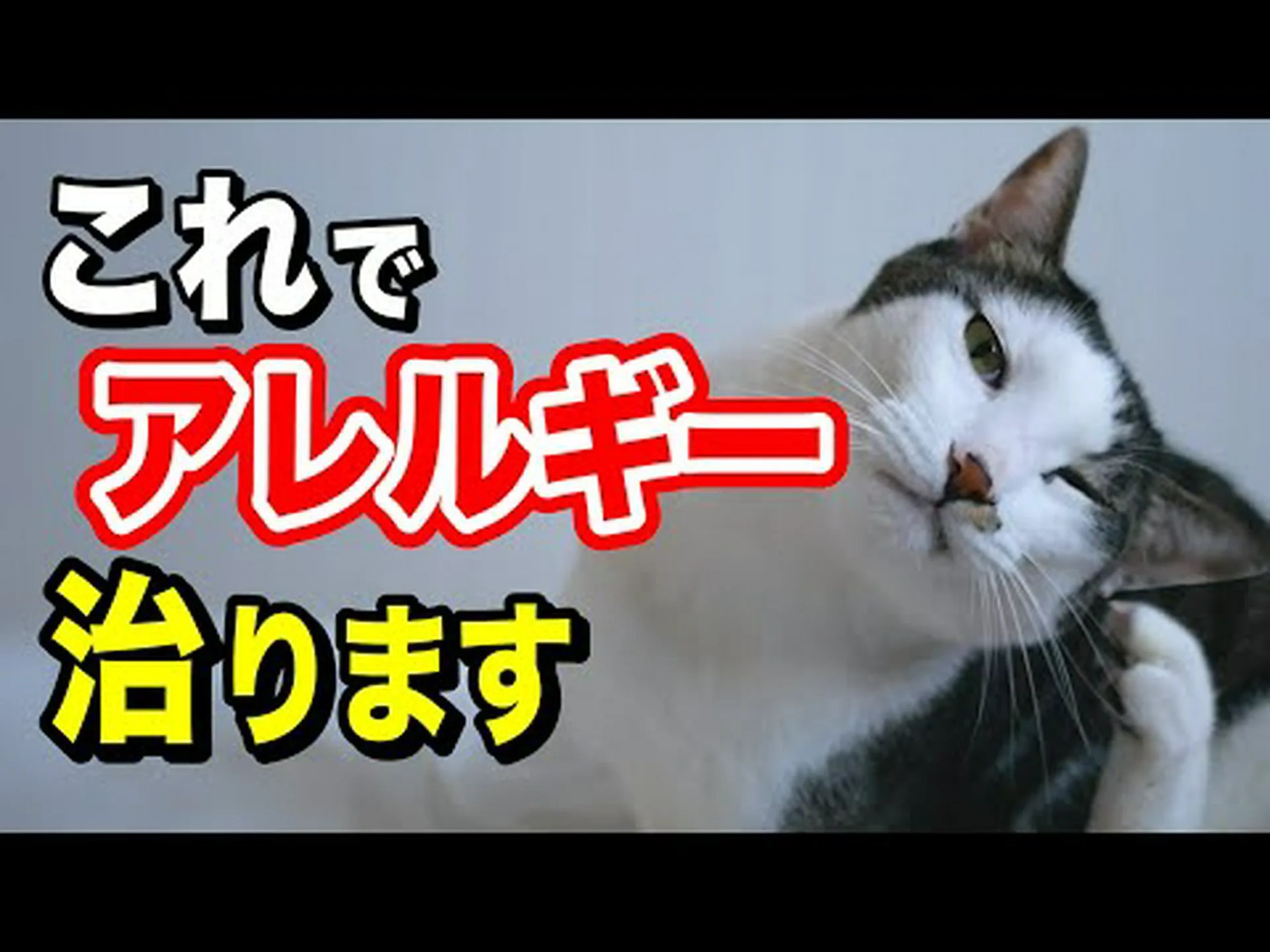 研究室からの皮膚 研究室からの皮膚