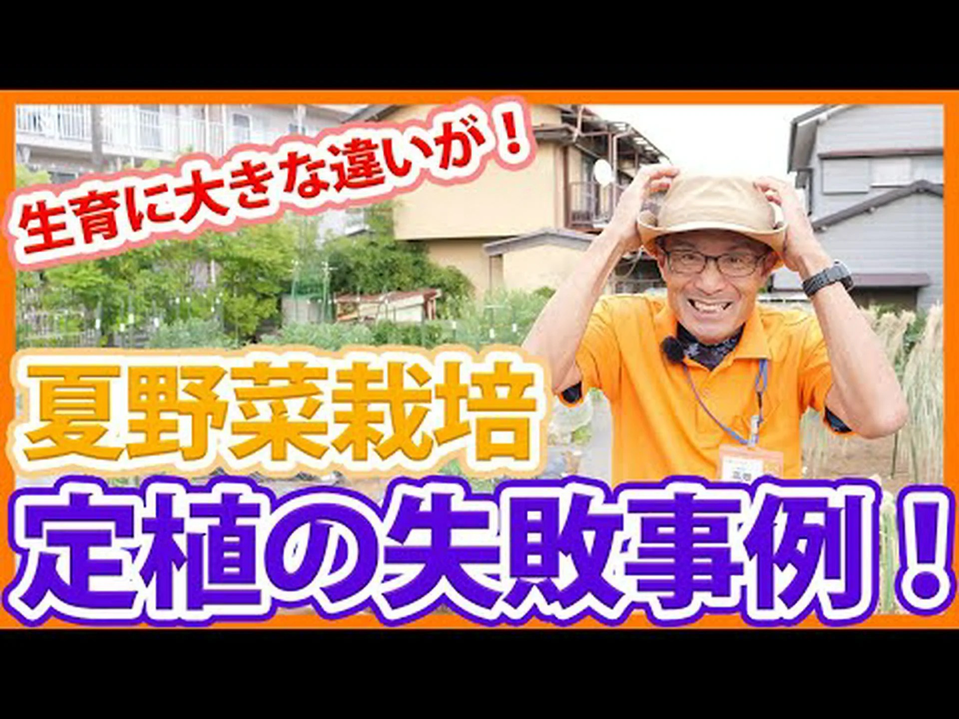 なぜトマトとバナナは熟すのに、ピーマンは熟さないのでしょうか? なぜトマトとバナナは熟すのに、ピーマンは熟さないのでしょうか?