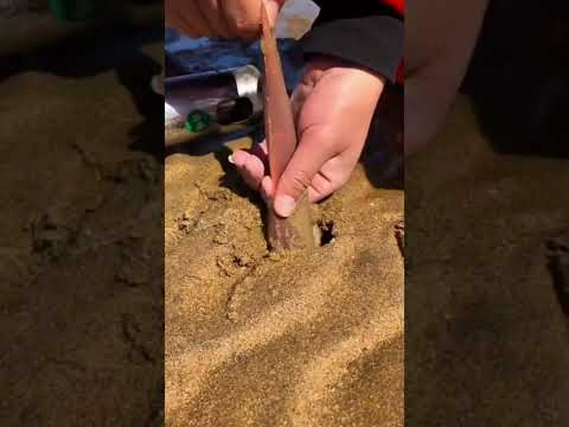 刺すのをやめてください 刺すのをやめてください