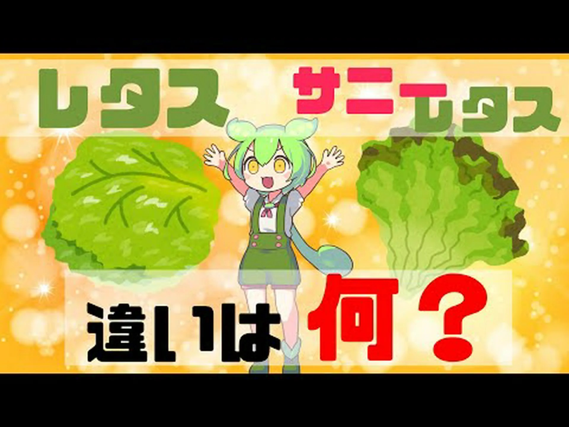 ラットの遺伝子のおかげでレタスのビタミンCは7倍 ラットの遺伝子のおかげでレタスのビタミンCは7倍