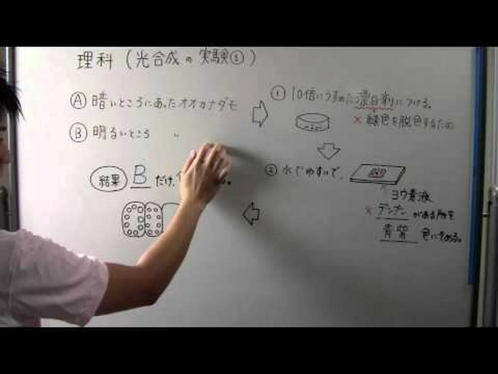 光合成の最も初期の直接証拠が発見された 光合成の最も初期の直接証拠が発見された