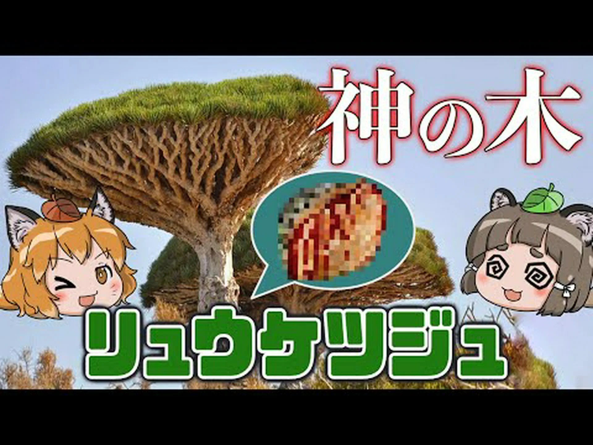 龍血樹の救世主 龍血樹の救世主