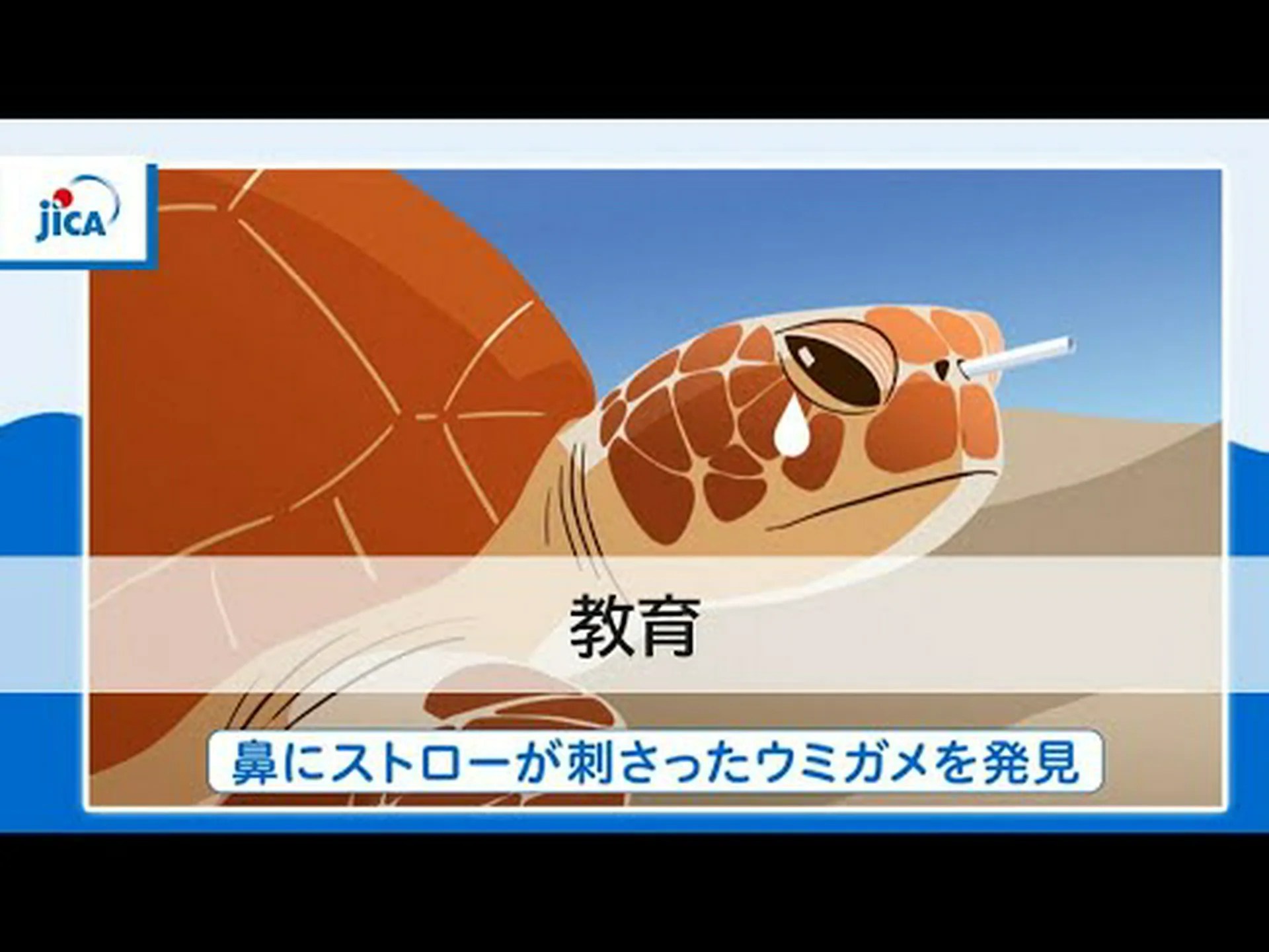 プラスチックいかだで世界の海を渡る プラスチックいかだで世界の海を渡る