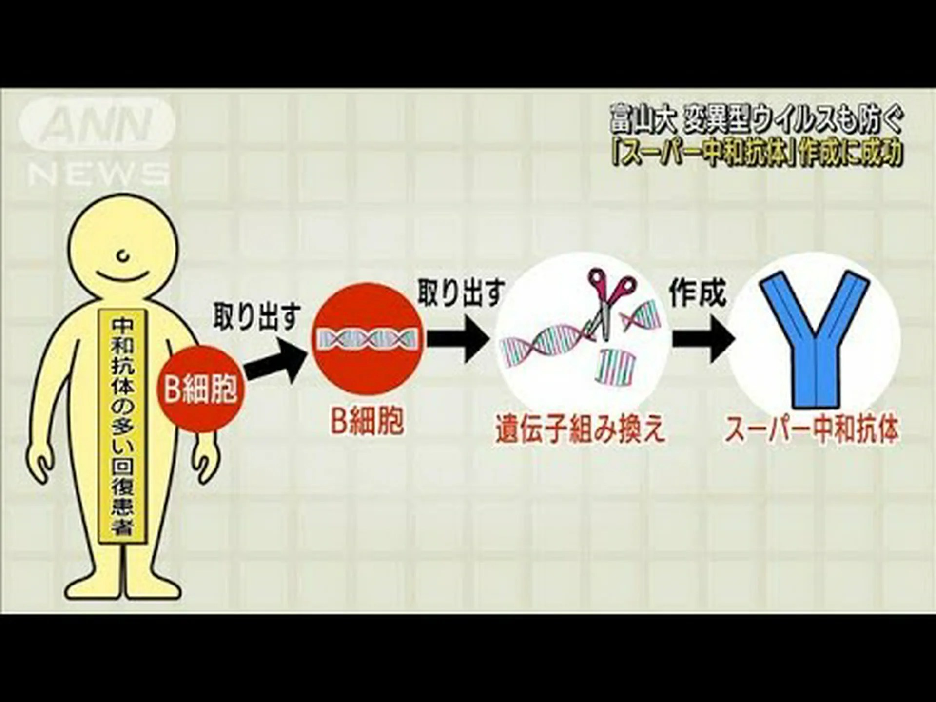 スーパー抗体による集中治療 スーパー抗体による集中治療