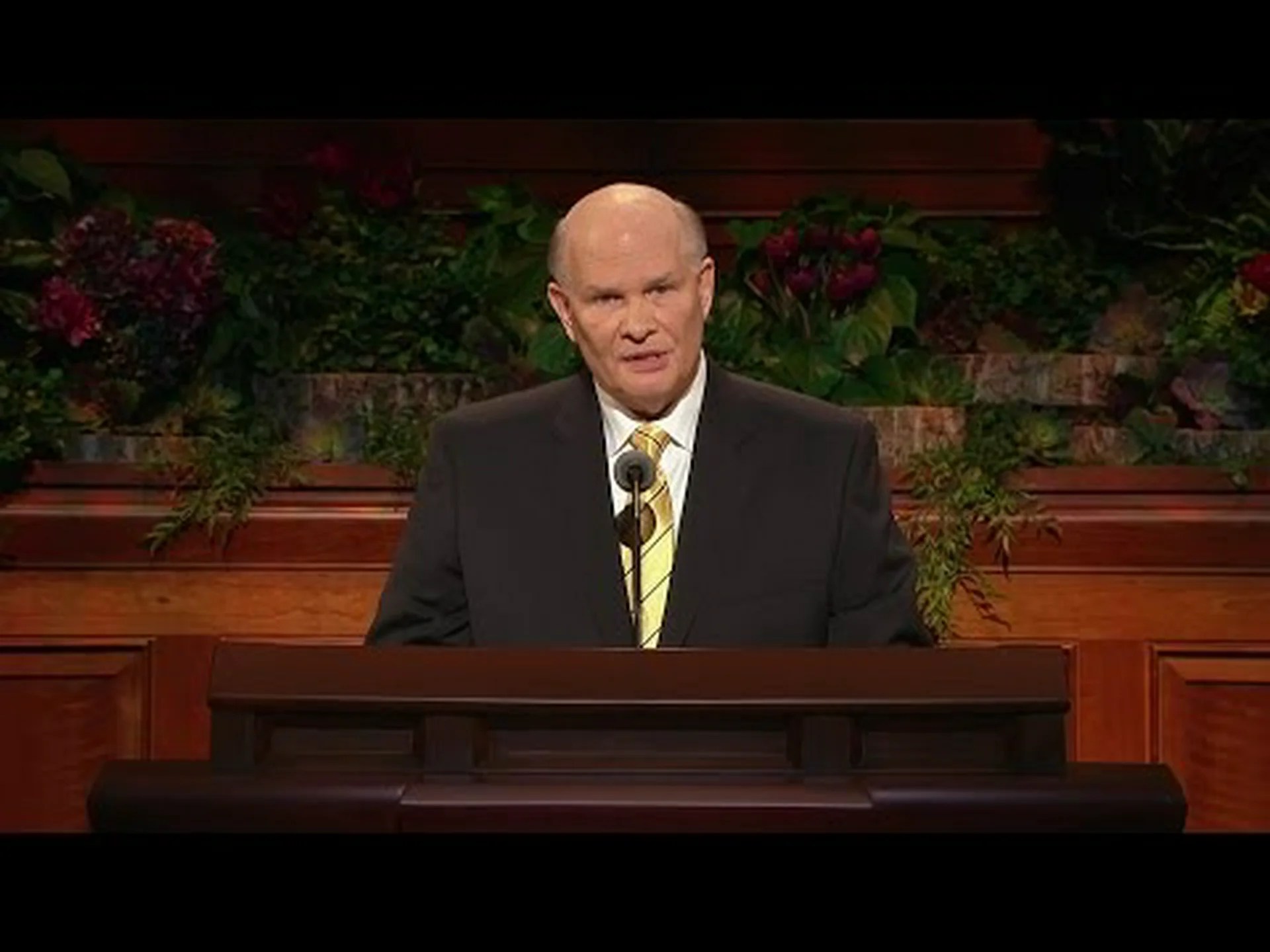 馬の目を通して 馬の目を通して