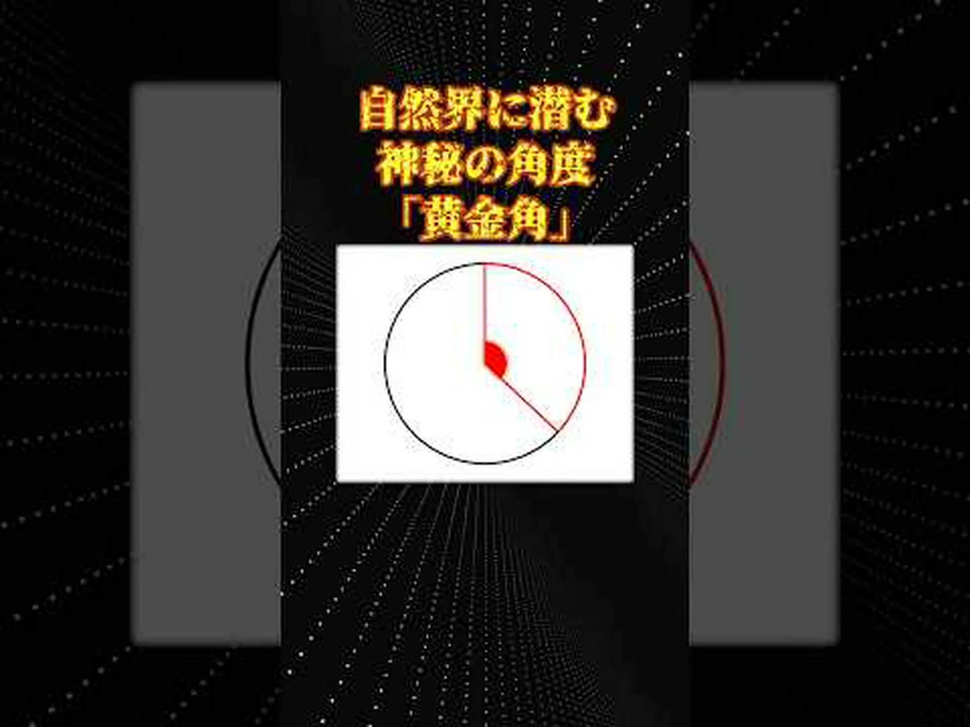 植物が黄金角を計算する方法 植物が黄金角を計算する方法