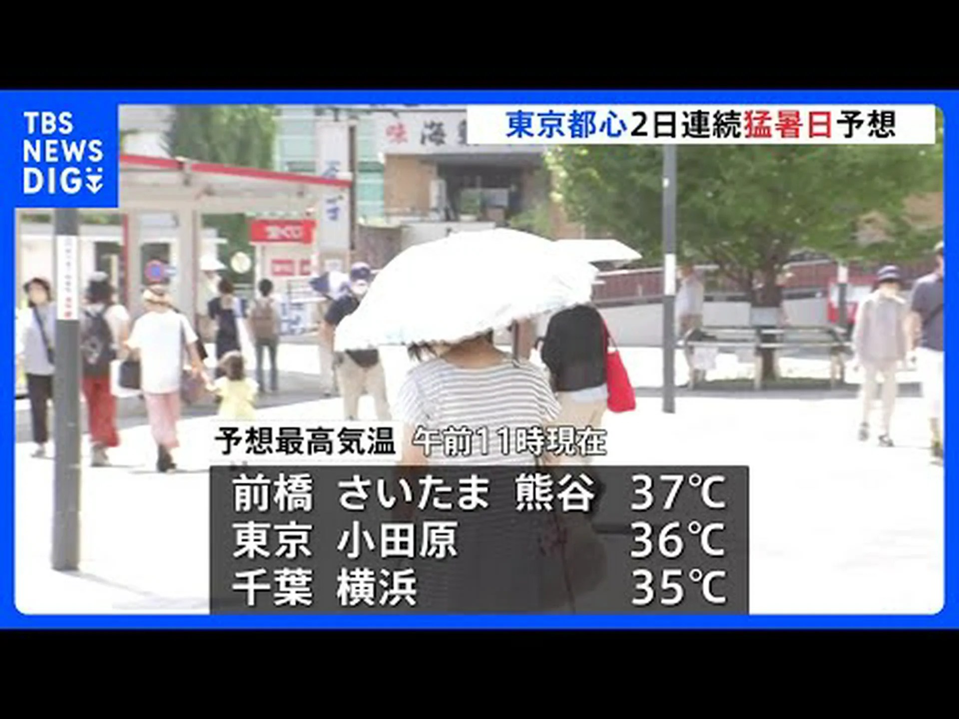 猛暑を乗り越え環境に優しい 猛暑を乗り越え環境に優しい