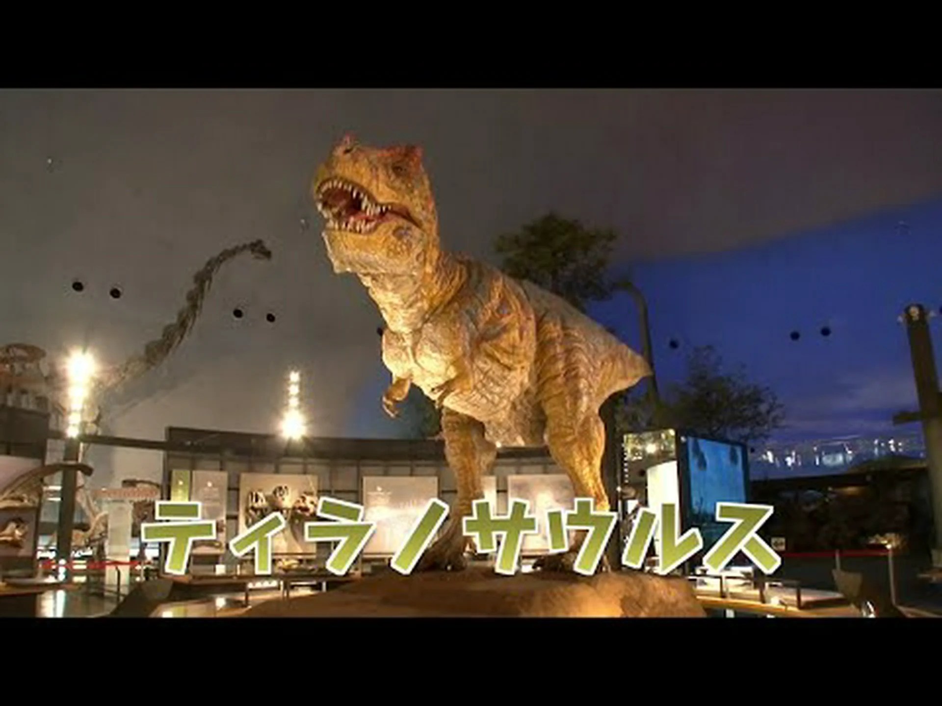 低脂肪恐竜 低脂肪恐竜