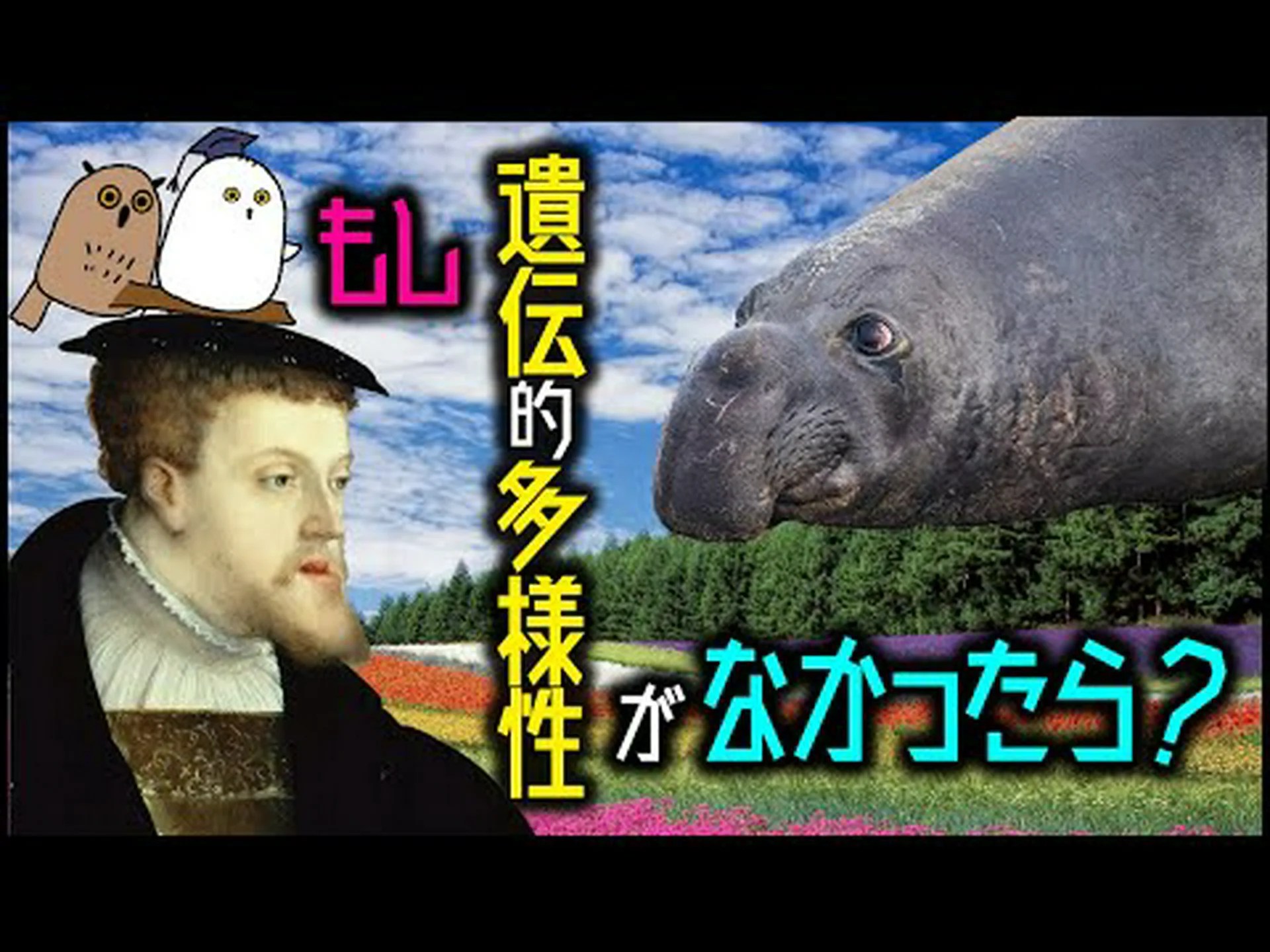 ミソサザイは逃げるときに遺伝的多様性に注意を払う ミソサザイは逃げるときに遺伝的多様性に注意を払う