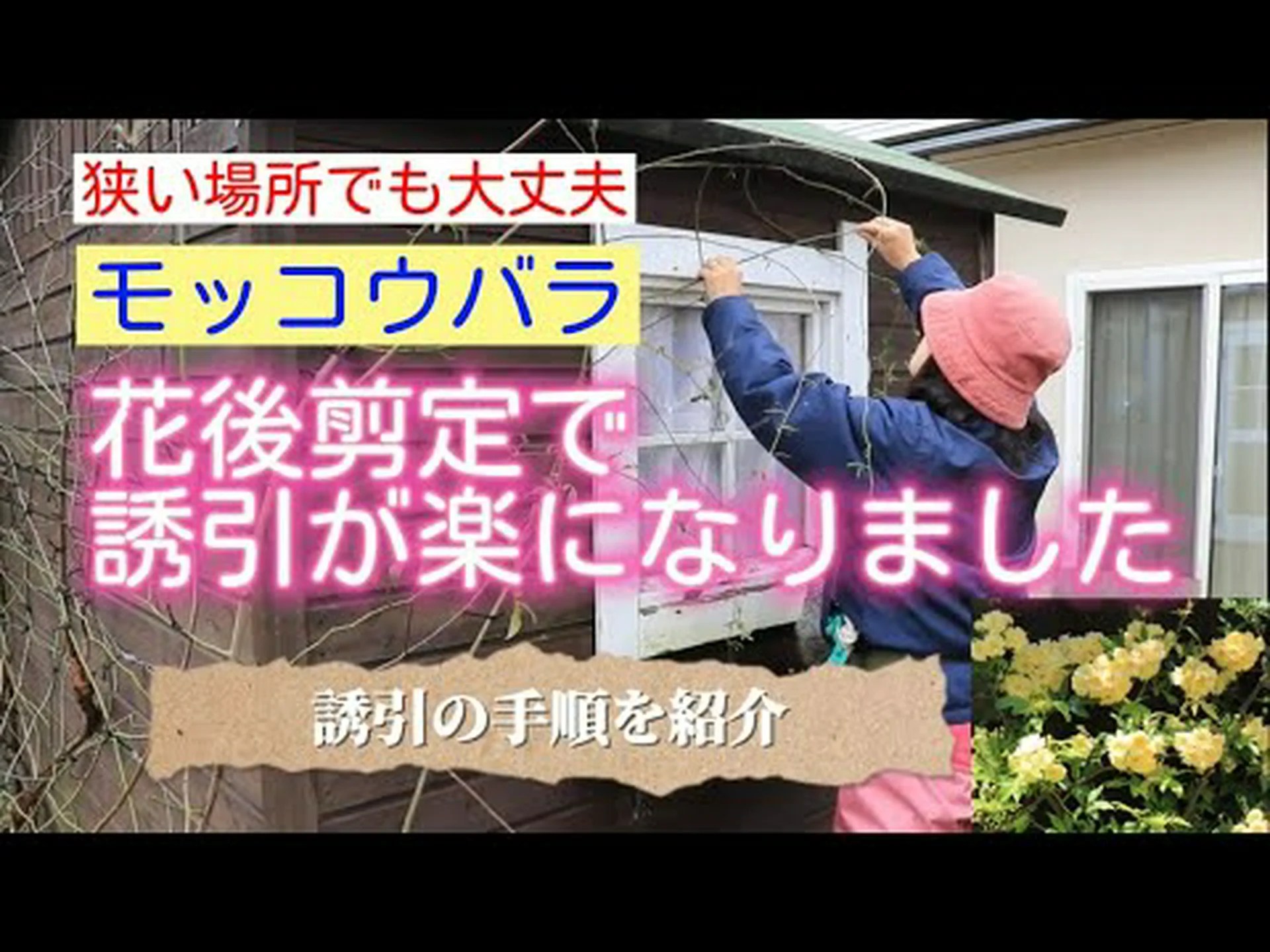 腺からの誘引物質 腺からの誘引物質