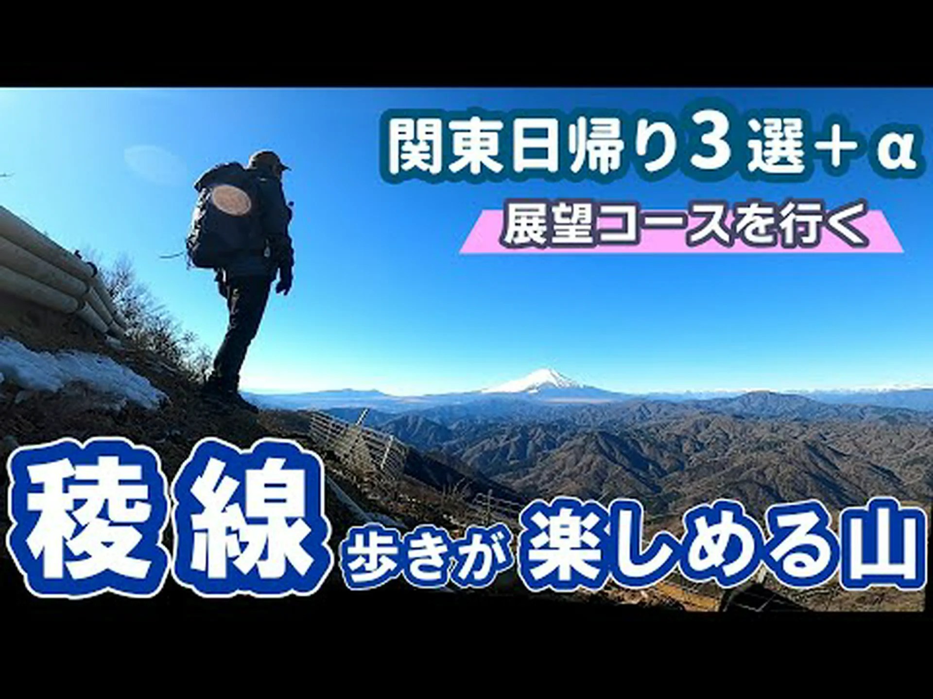 ミズナギドリの楽しみはハイキングです ミズナギドリの楽しみはハイキングです