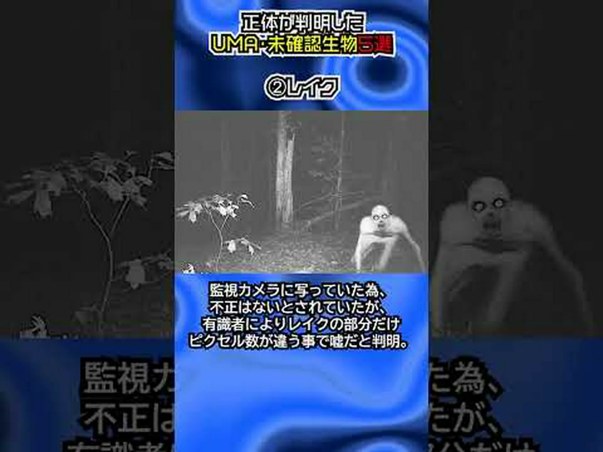 動物の化石と思われていたものが藻類であることが判明 動物の化石と思われていたものが藻類であることが判明