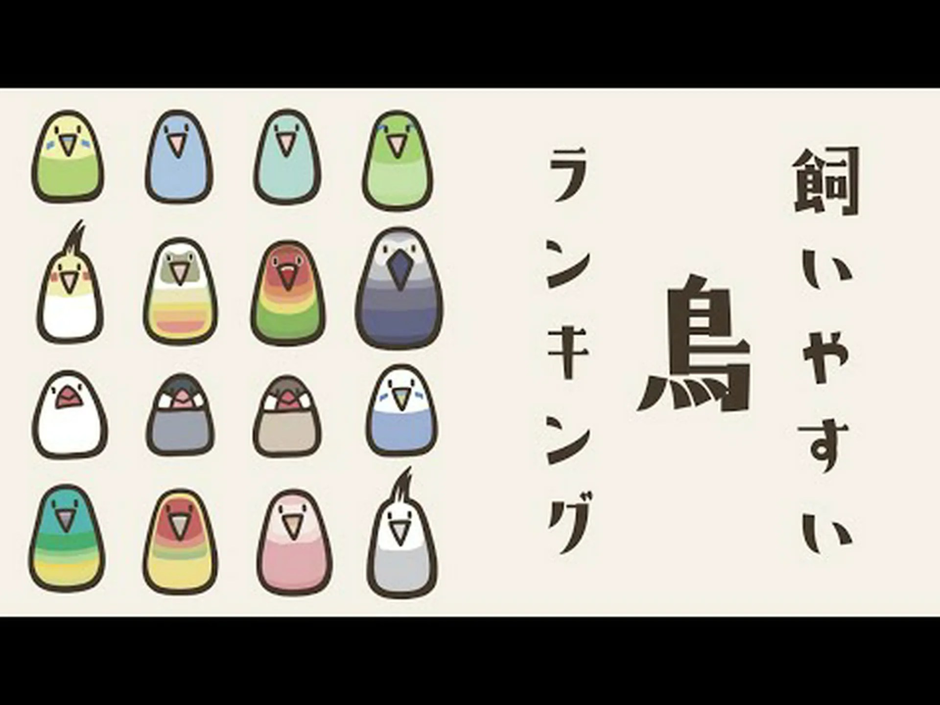 魅力的な鳥の知性 魅力的な鳥の知性