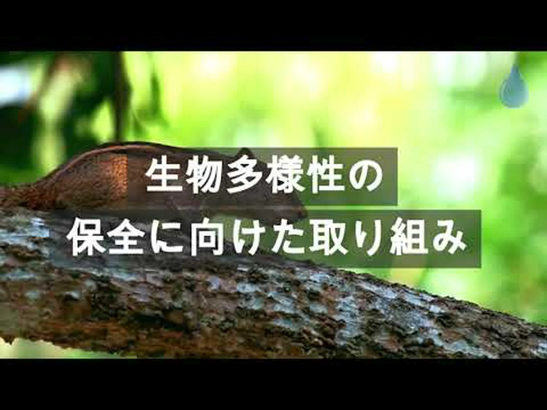 多様性の減少 多様性の減少