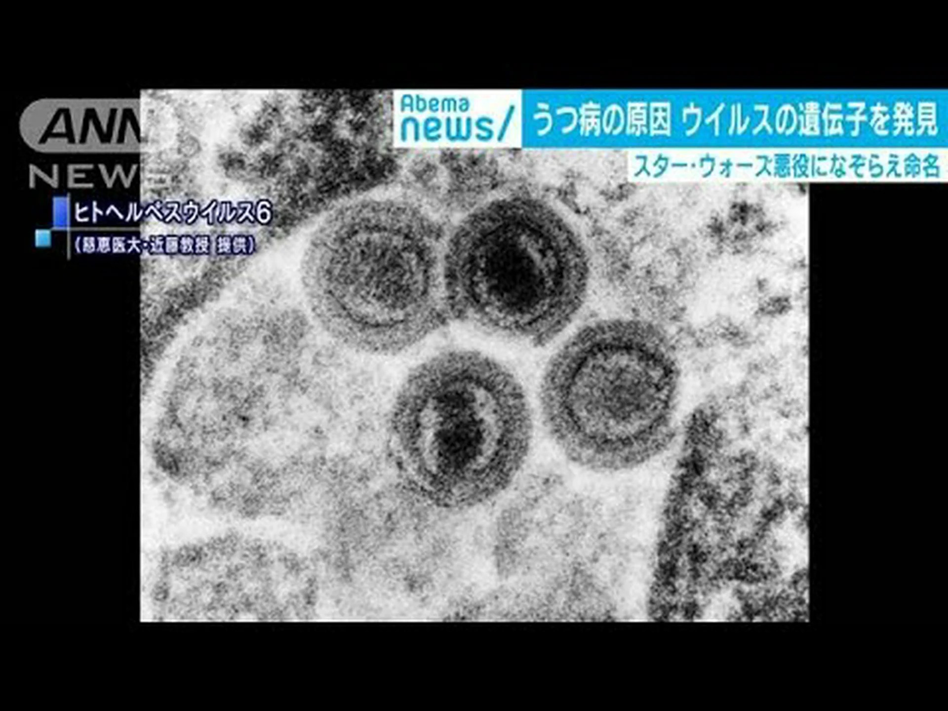 思春期を引き起こす遺伝子を発見 思春期を引き起こす遺伝子を発見