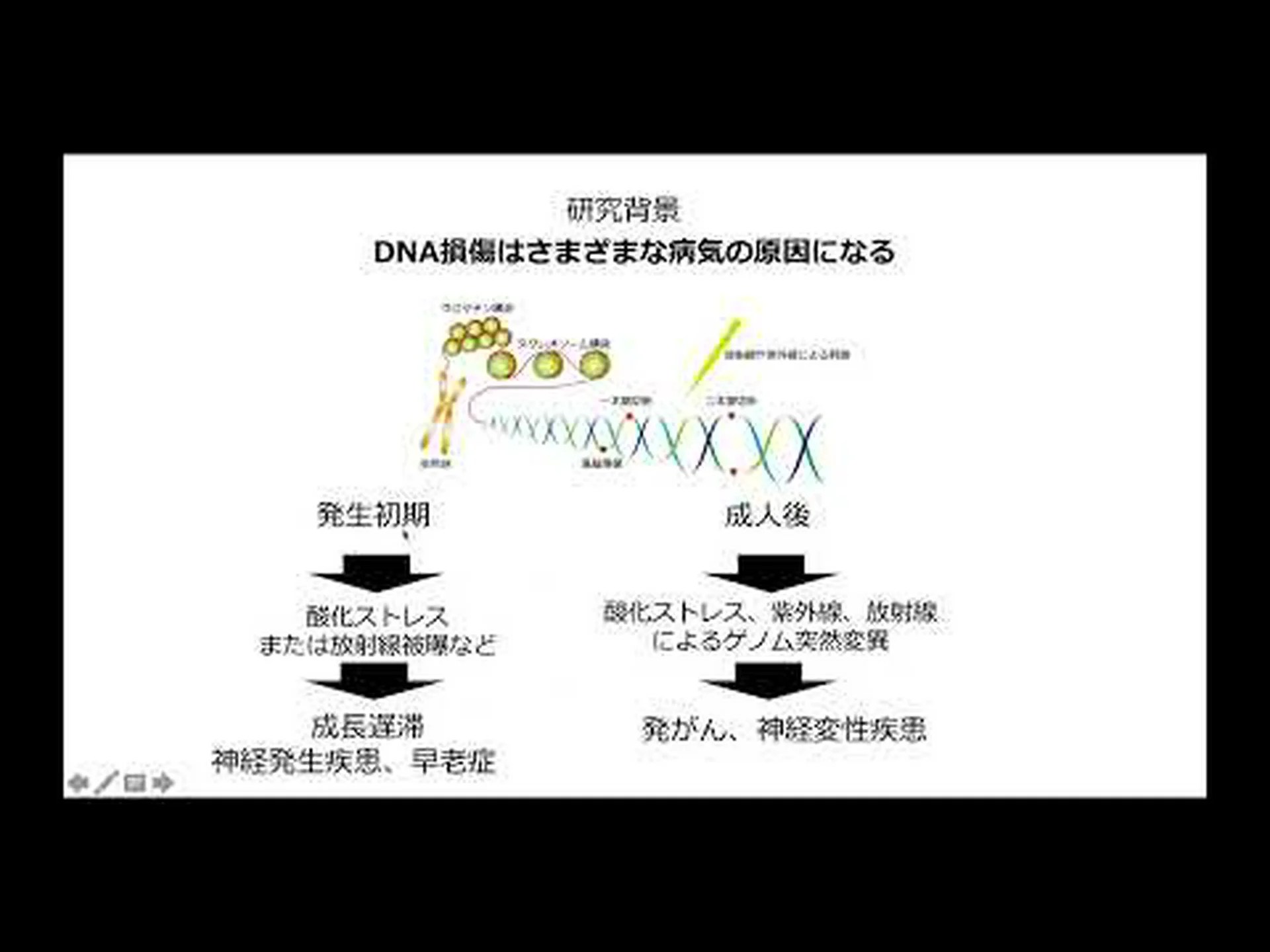 DNA修復機構の欠陥はがんの原因となる可能性がある DNA修復機構の欠陥はがんの原因となる可能性がある