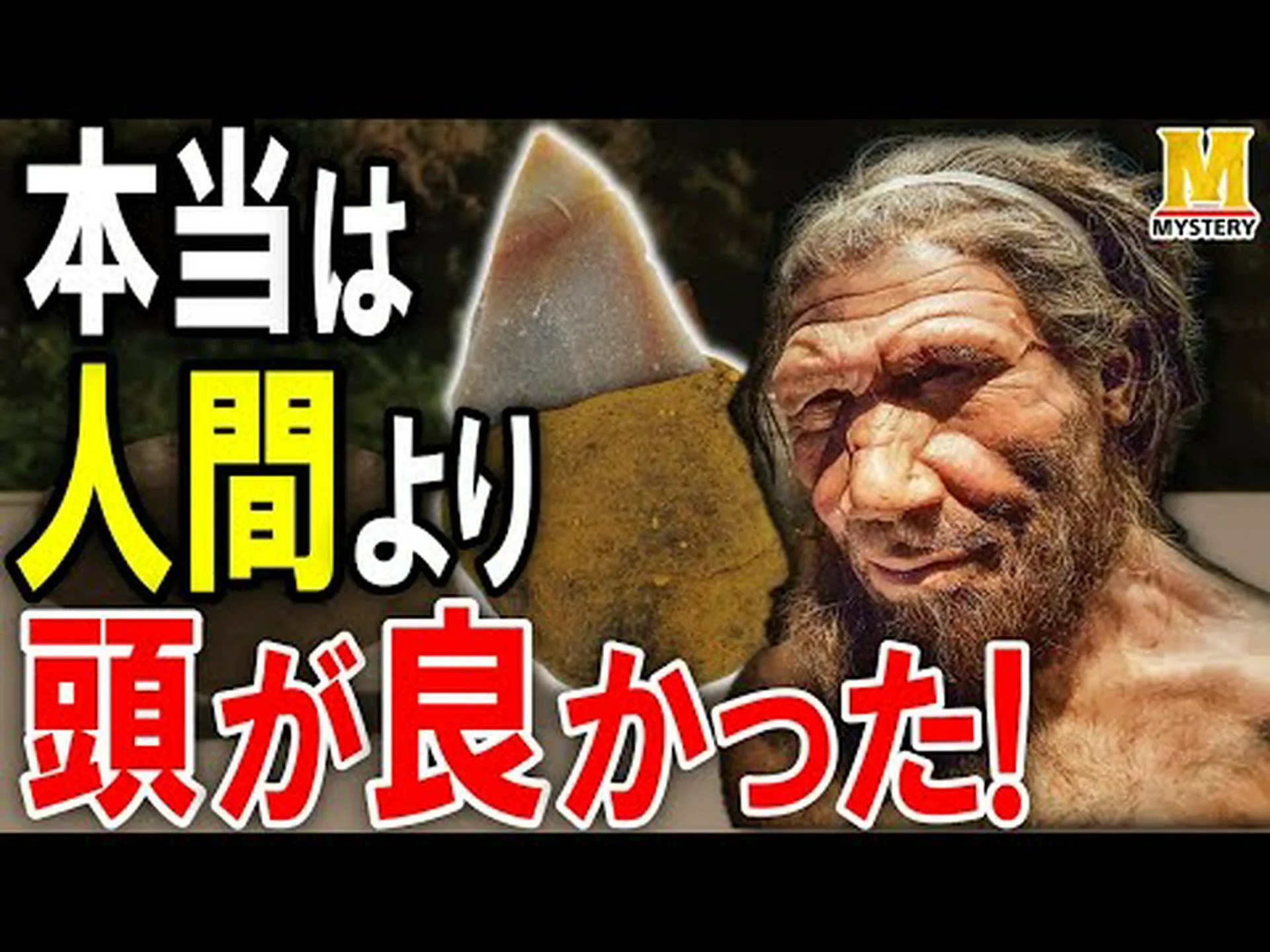 ネアンデルタール人の遺産が頭の形に影響を与える ネアンデルタール人の遺産が頭の形に影響を与える