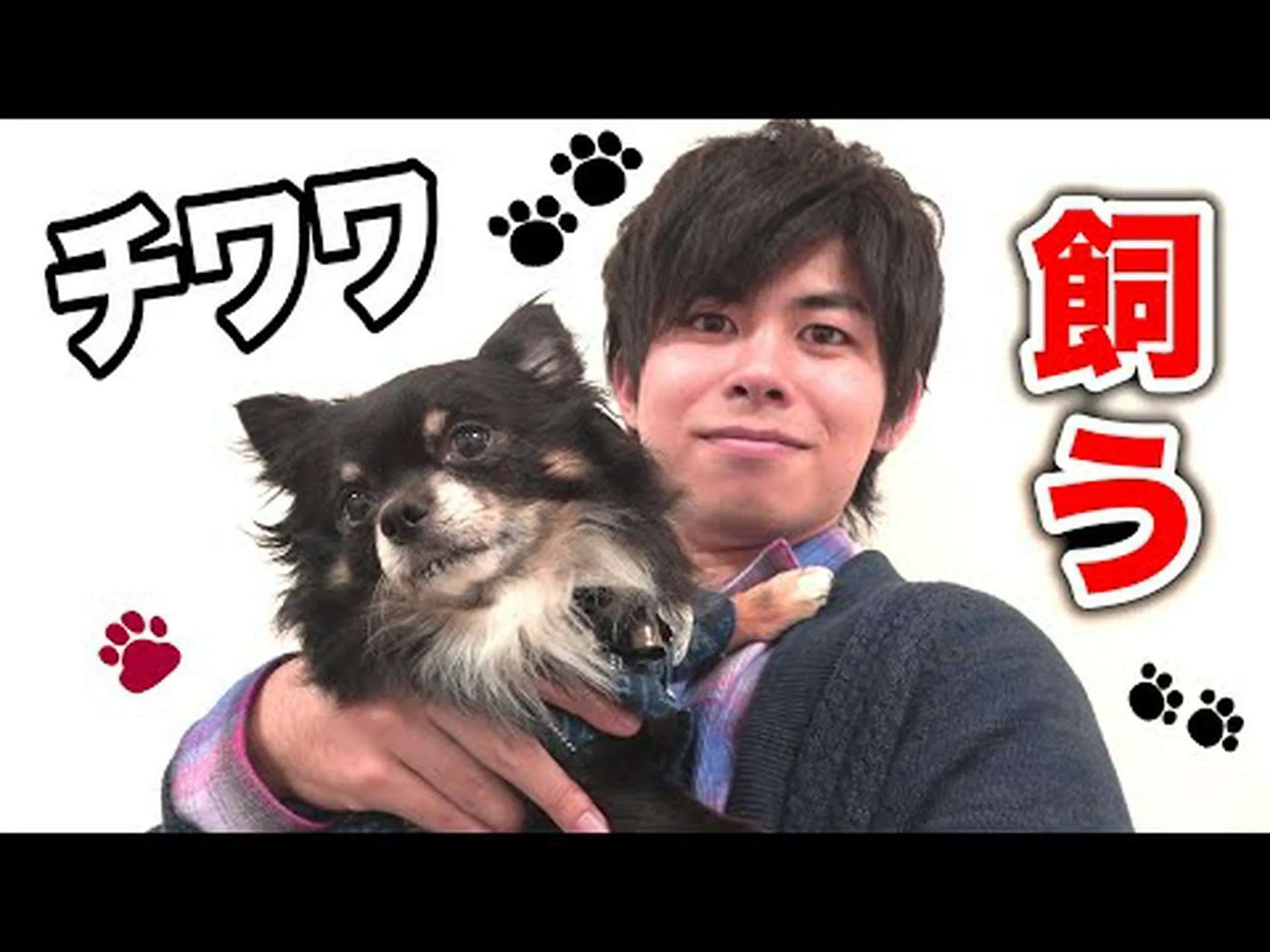 犬を飼った 犬を飼った