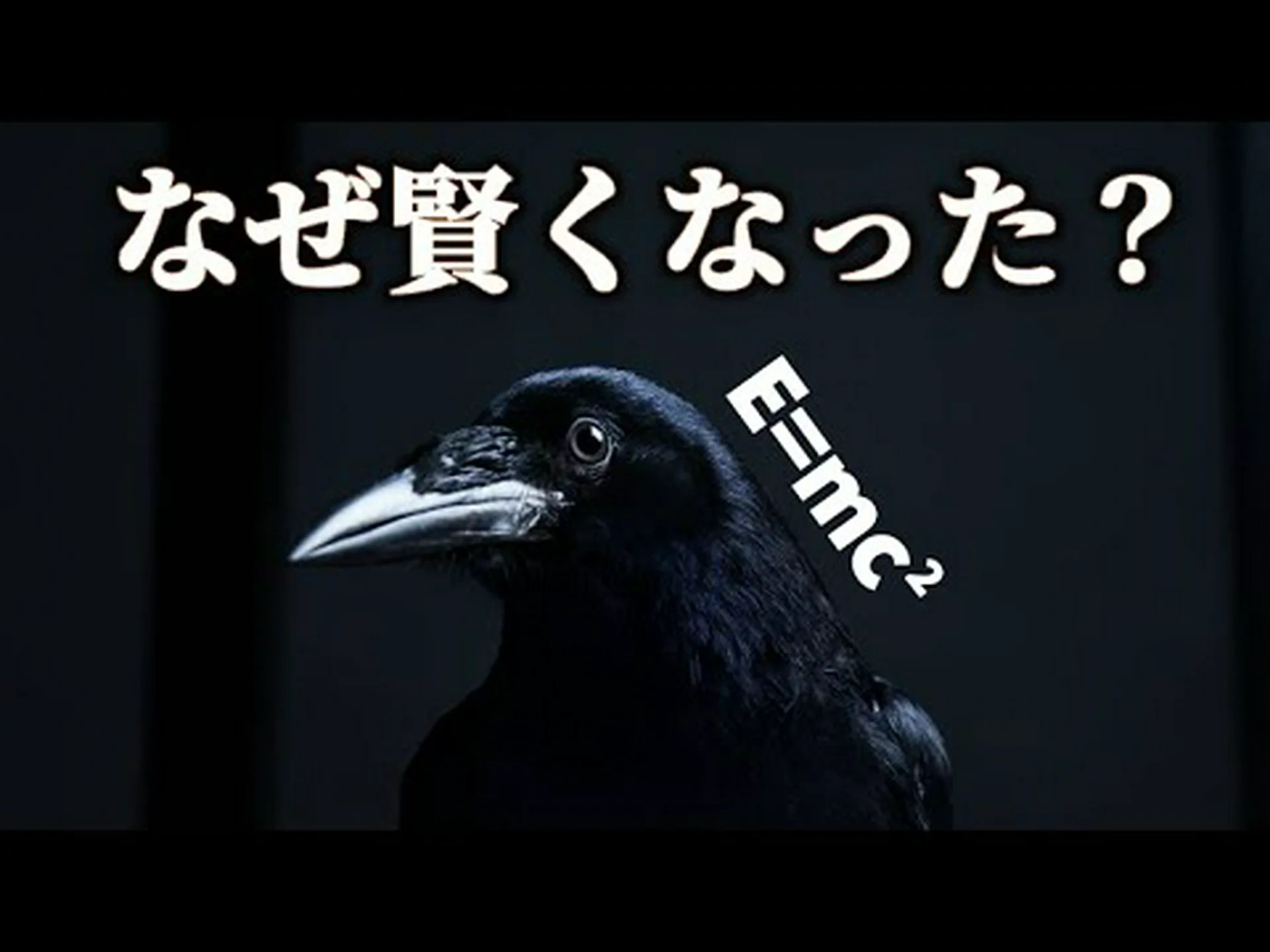 カラスがなぜそれほど重要なのか カラスがなぜそれほど重要なのか