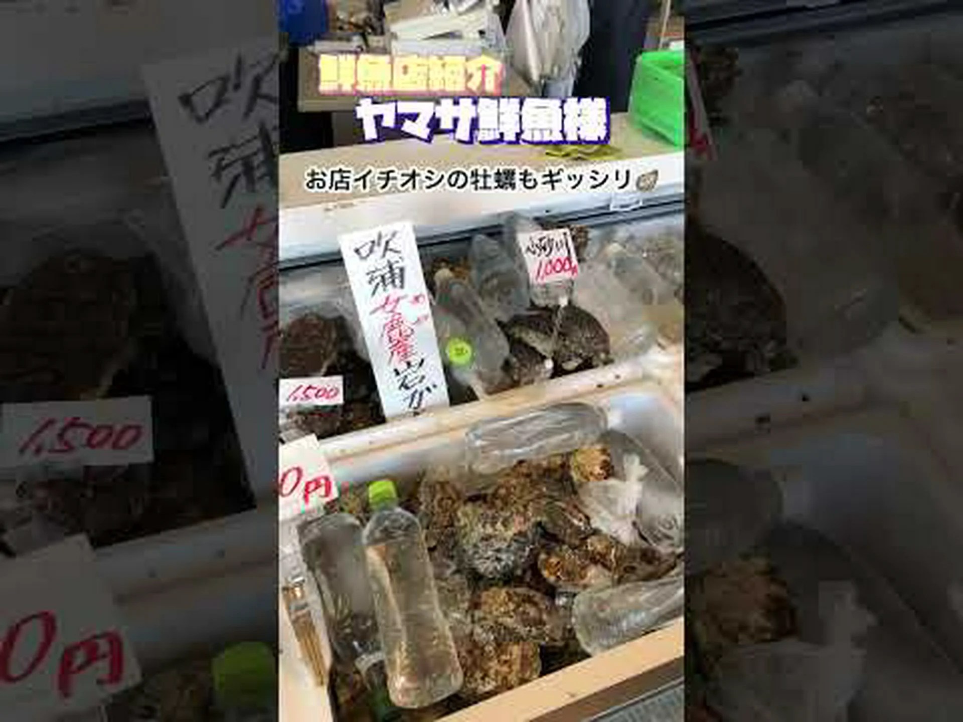 イセグリムフィッシュ 鮮魚 イセグリムフィッシュ 鮮魚